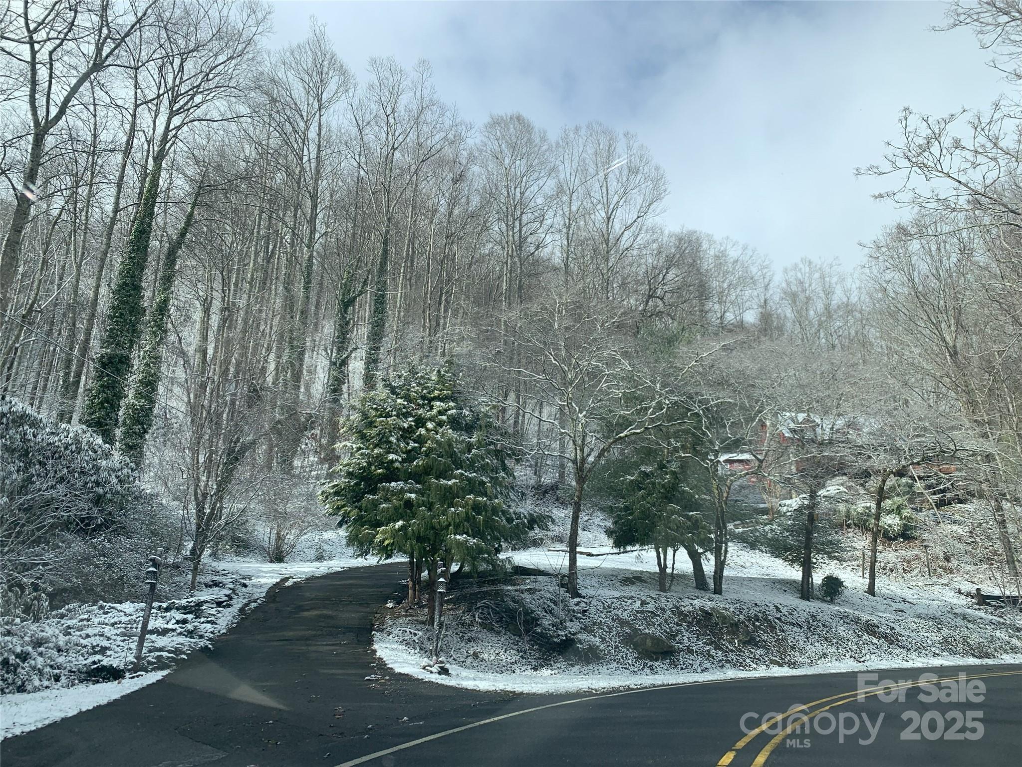 1145 Bearwallow Mountain Road — Hendersonville