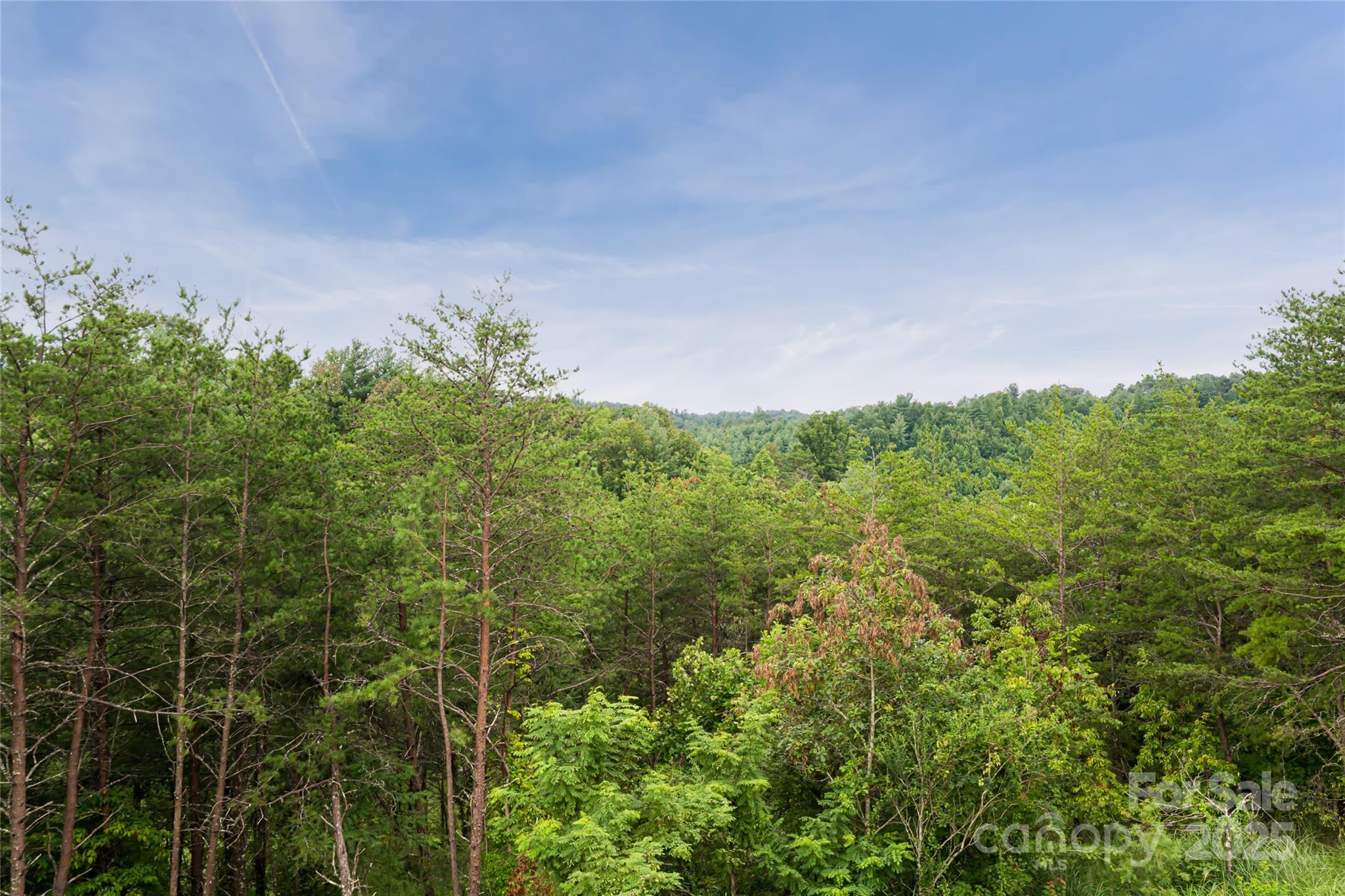 181 Flint Morgan Road — Mars Hill