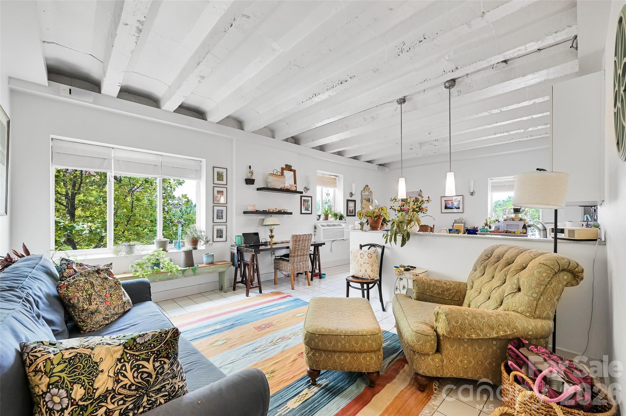 538 N Main Street #305-#308 — Hendersonville