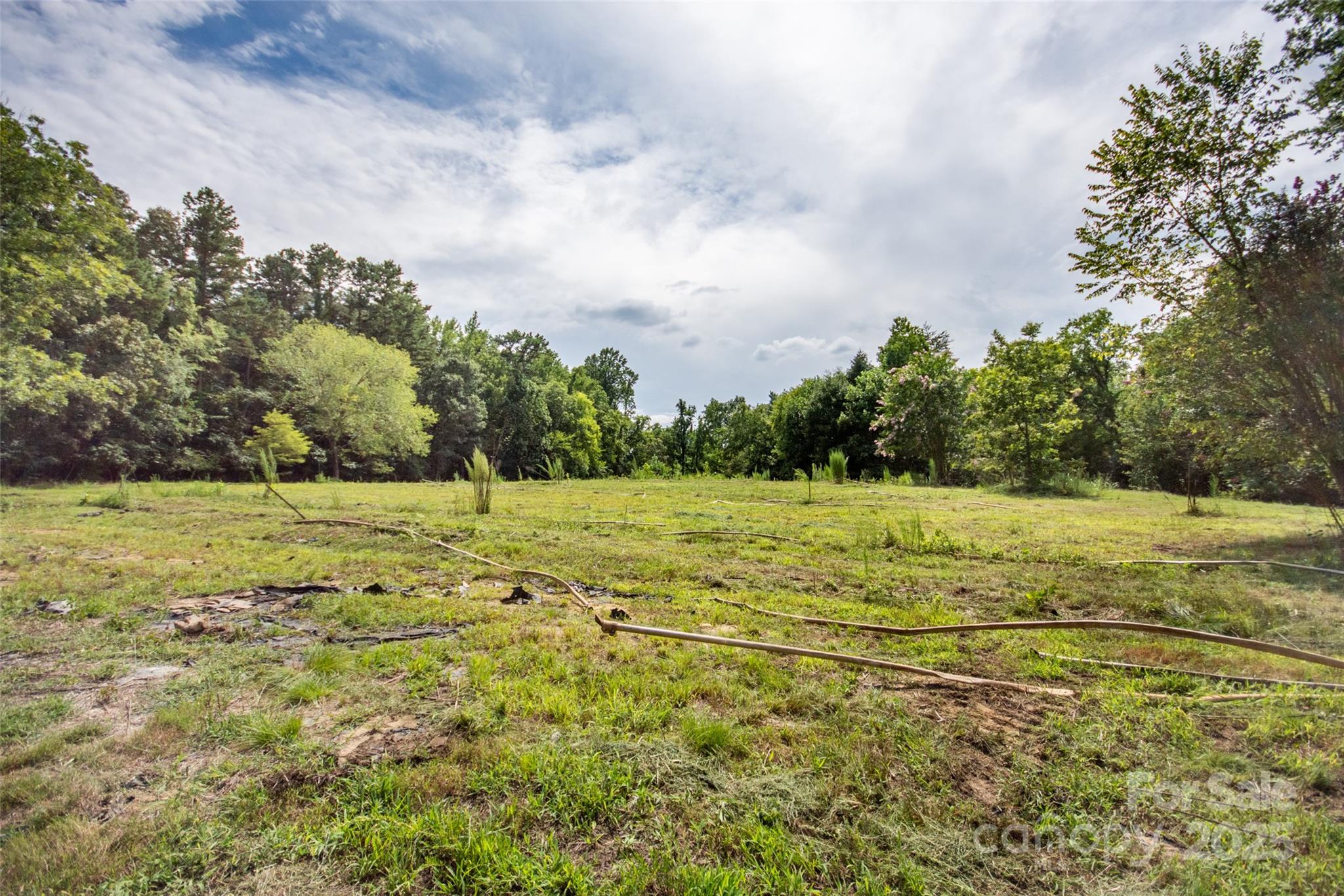 10245 Cool Springs Road — Woodleaf