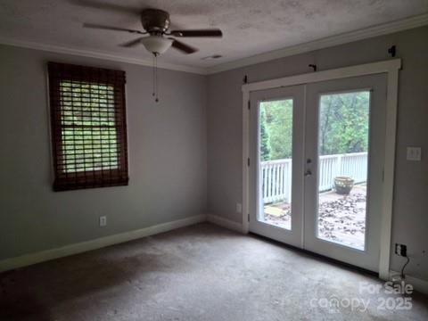29 Toad Drive — Asheville