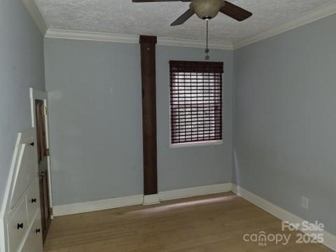 29 Toad Drive — Asheville