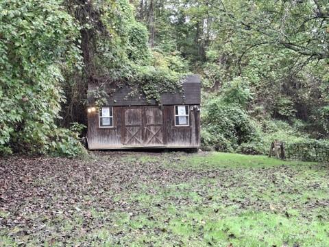 29 Toad Drive — Asheville
