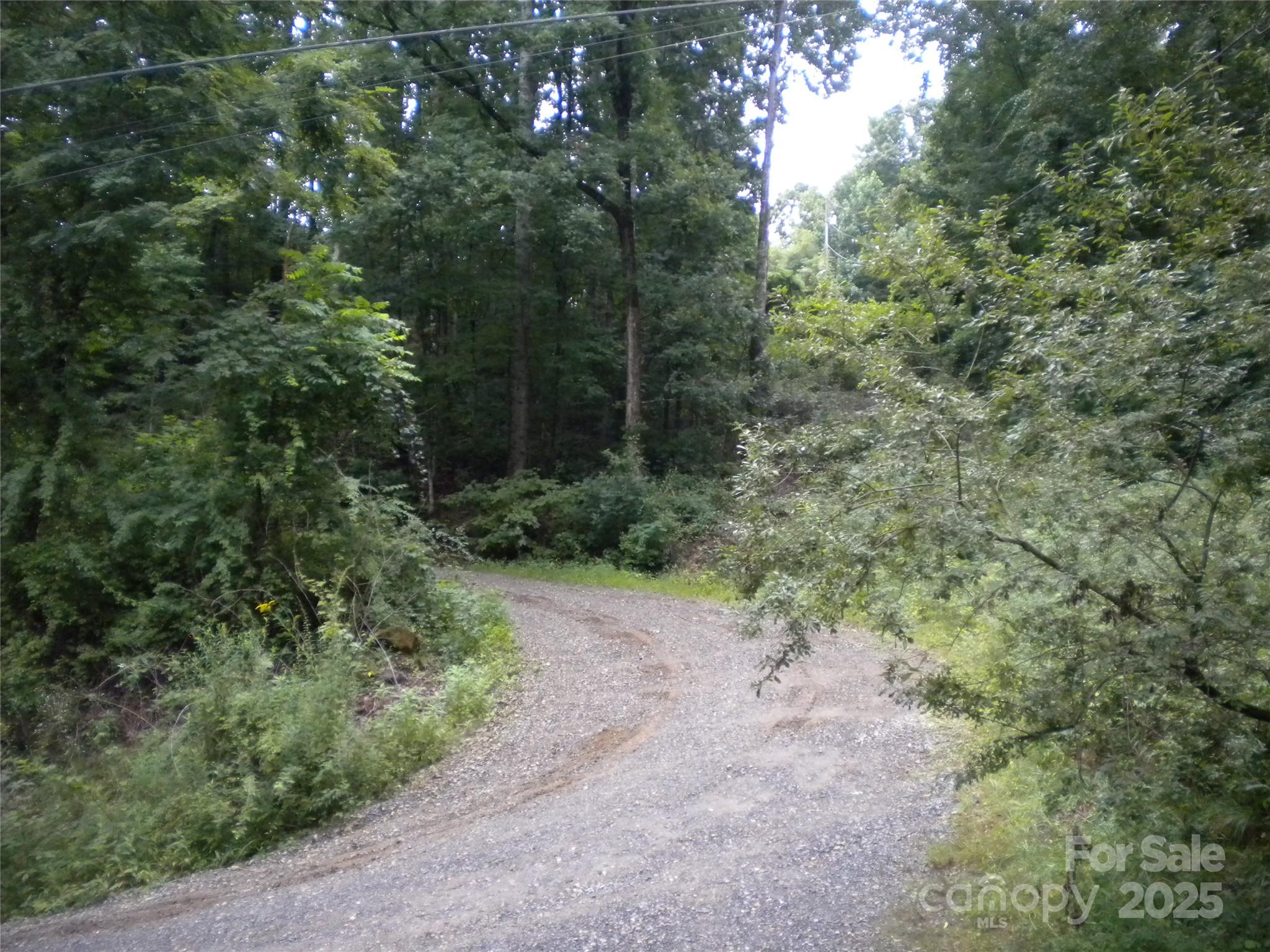 29 Toad Drive — Asheville