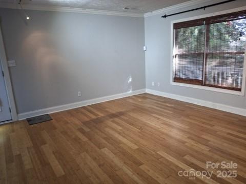 29 Toad Drive — Asheville