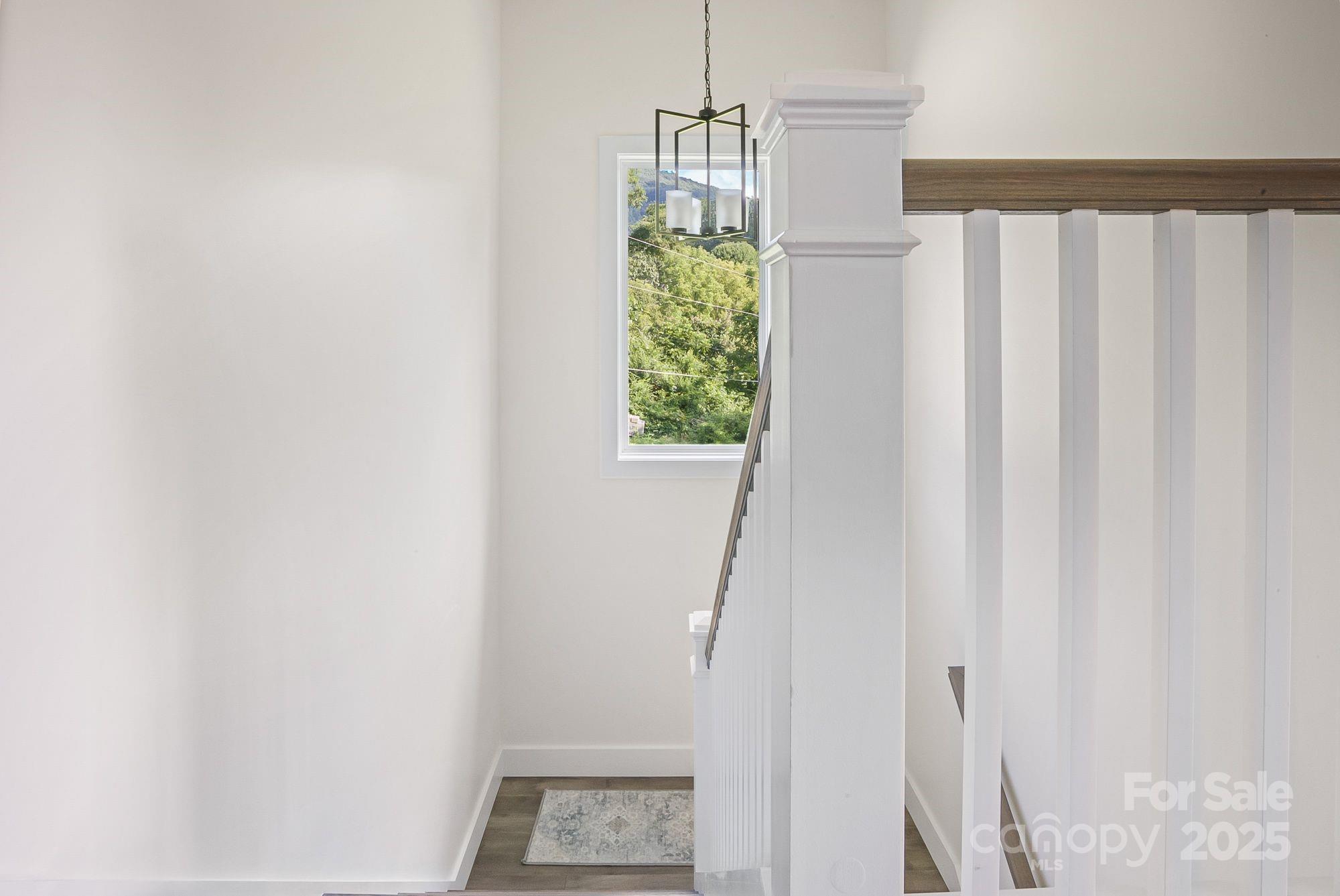 8 Green Tree Lane — Asheville