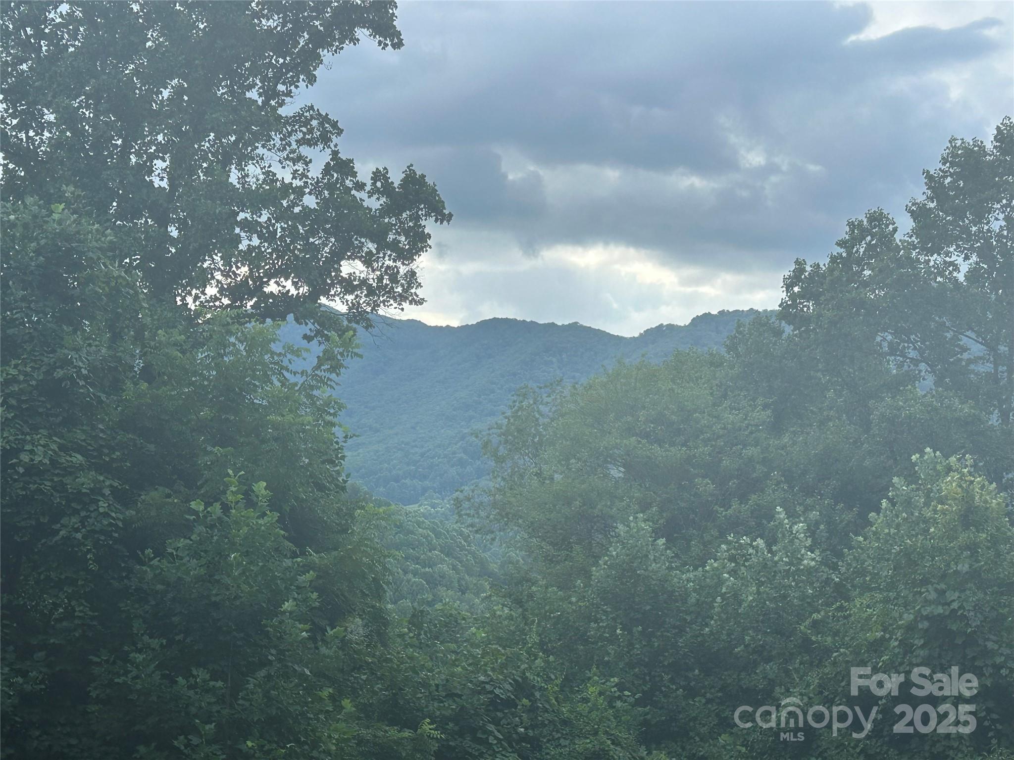 103 Cambridge Way — Waynesville