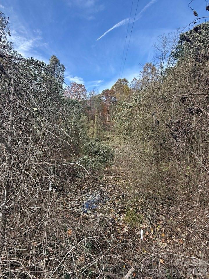 200 Little Wings Mountain Road — Columbus