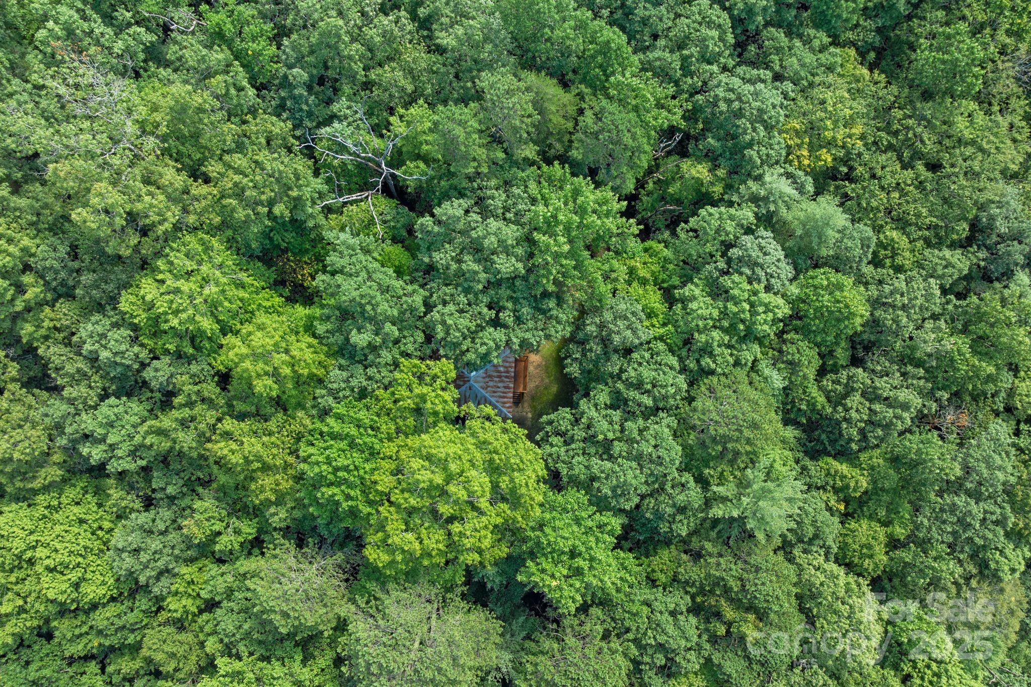 118 Blossom Road — Brevard