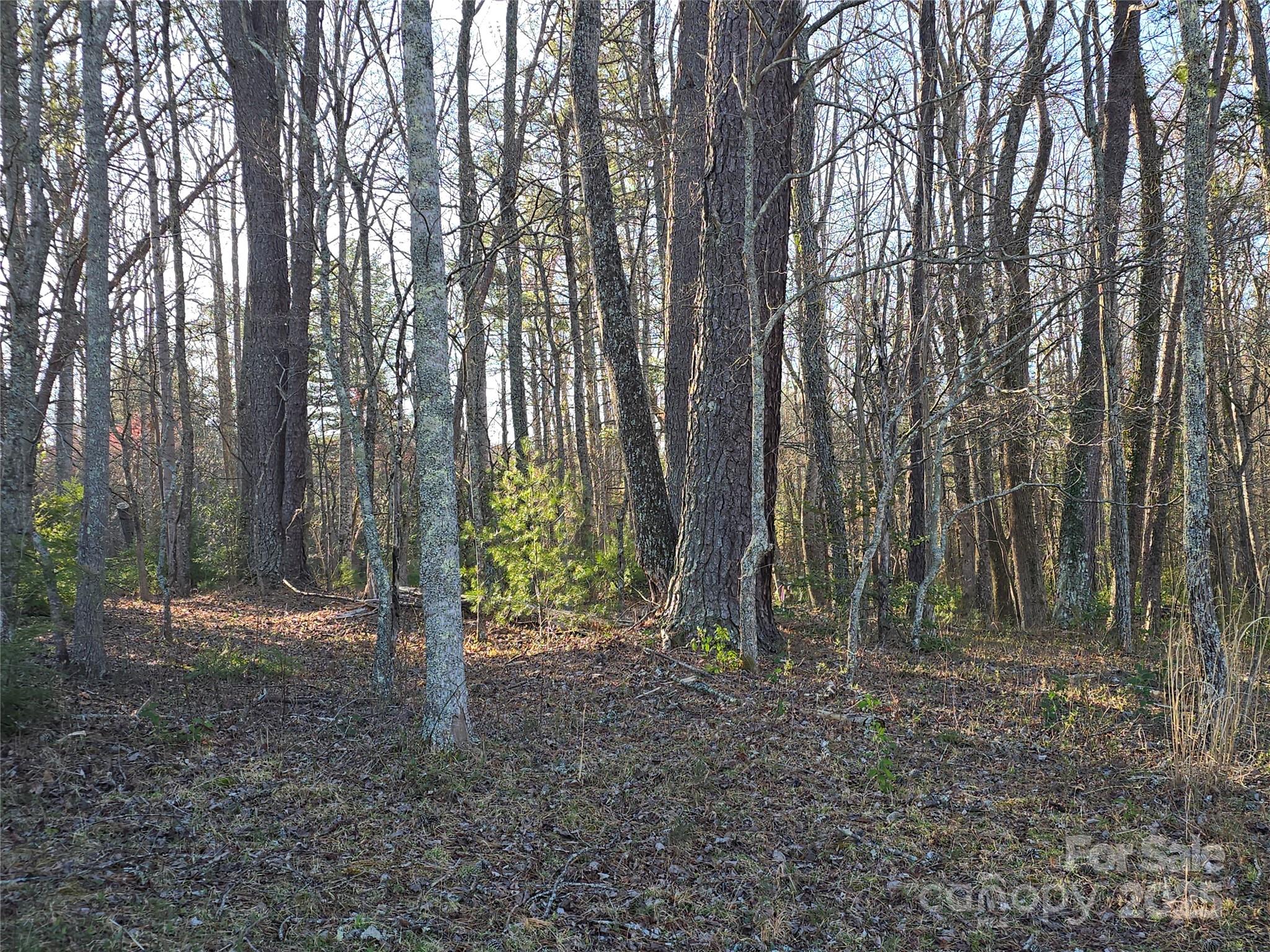 117 Woods View Trail — Fairview