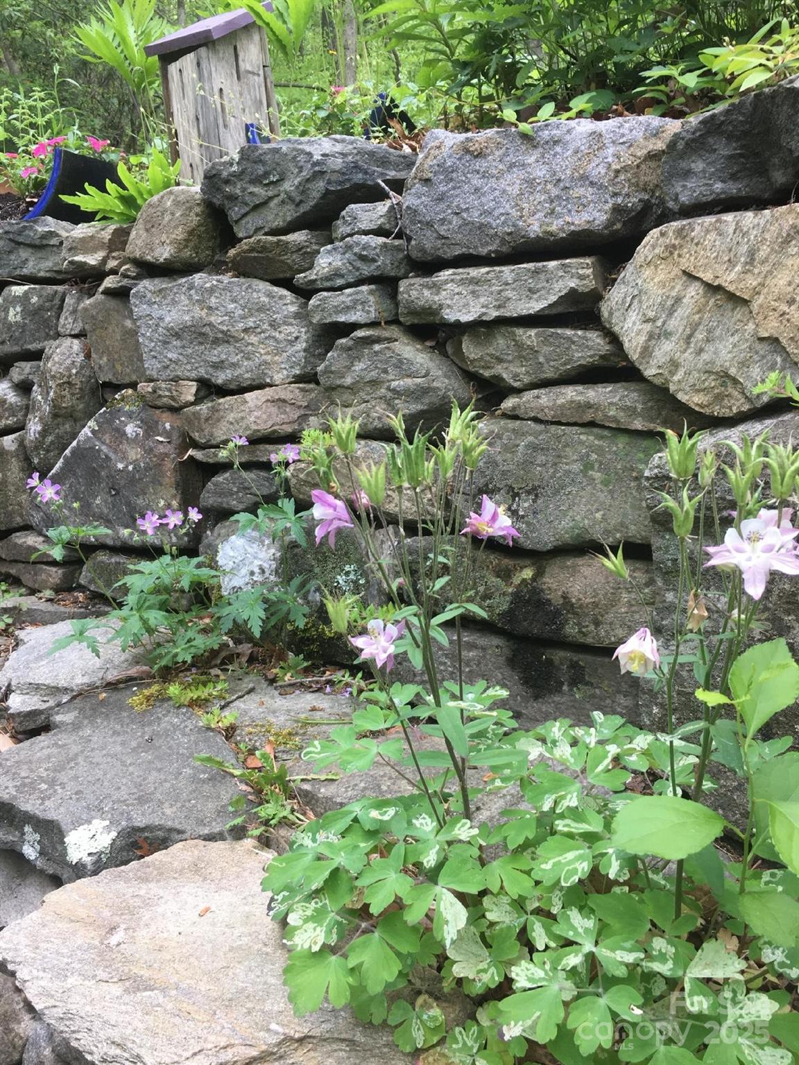 117 Woods View Trail — Fairview