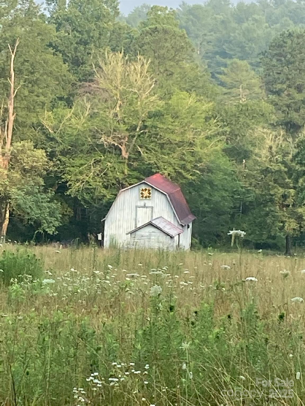 117 Woods View Trail — Fairview