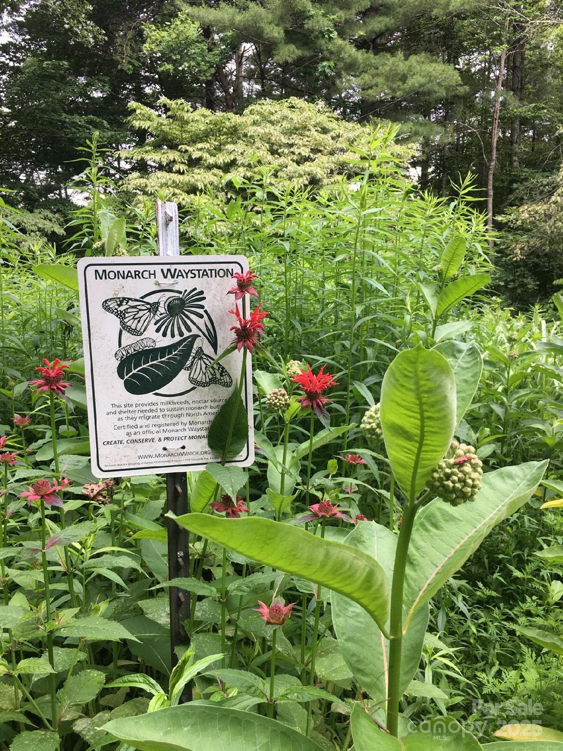 117 Woods View Trail — Fairview