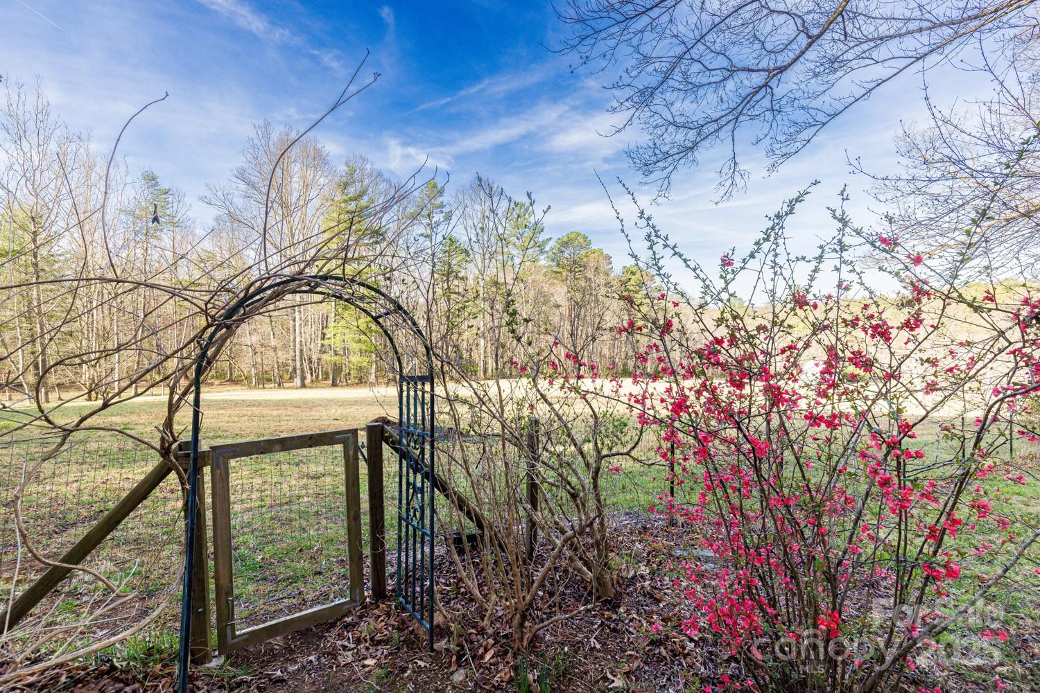 117 Woods View Trail — Fairview