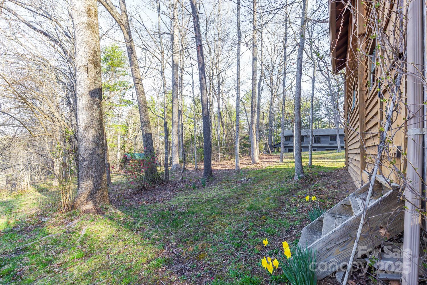 117 Woods View Trail — Fairview