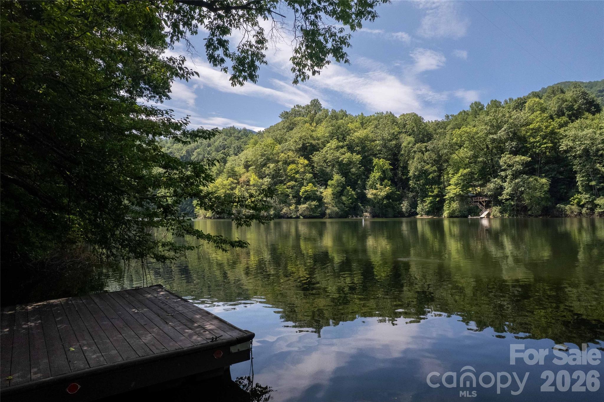 300 Sweet Birch Lane — Tuckasegee