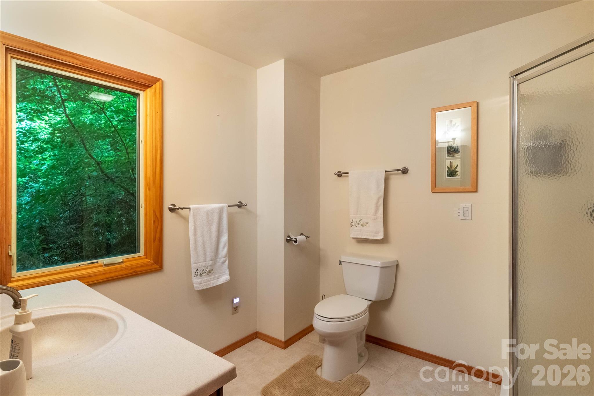 300 Sweet Birch Lane — Tuckasegee