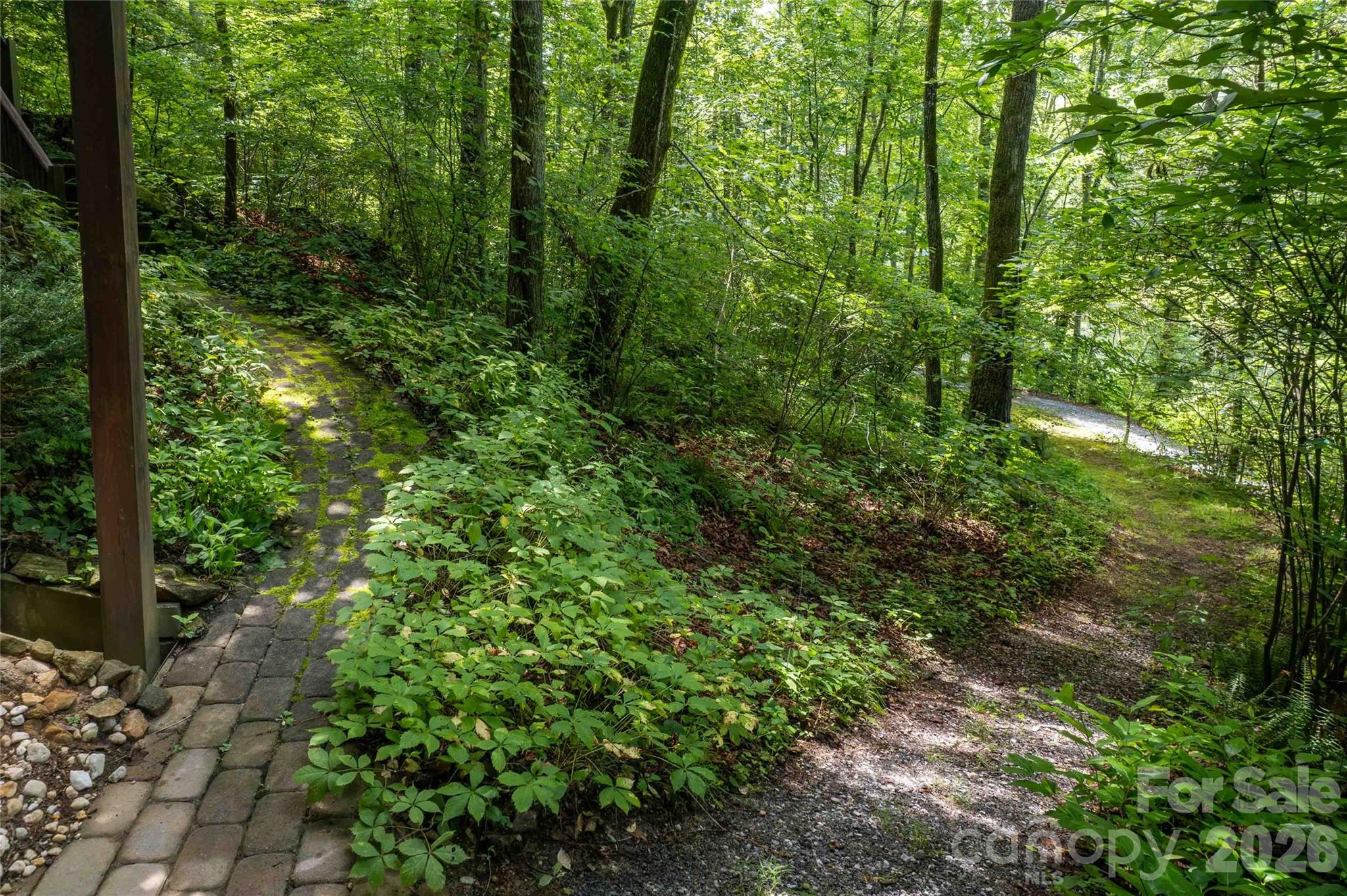 300 Sweet Birch Lane — Tuckasegee