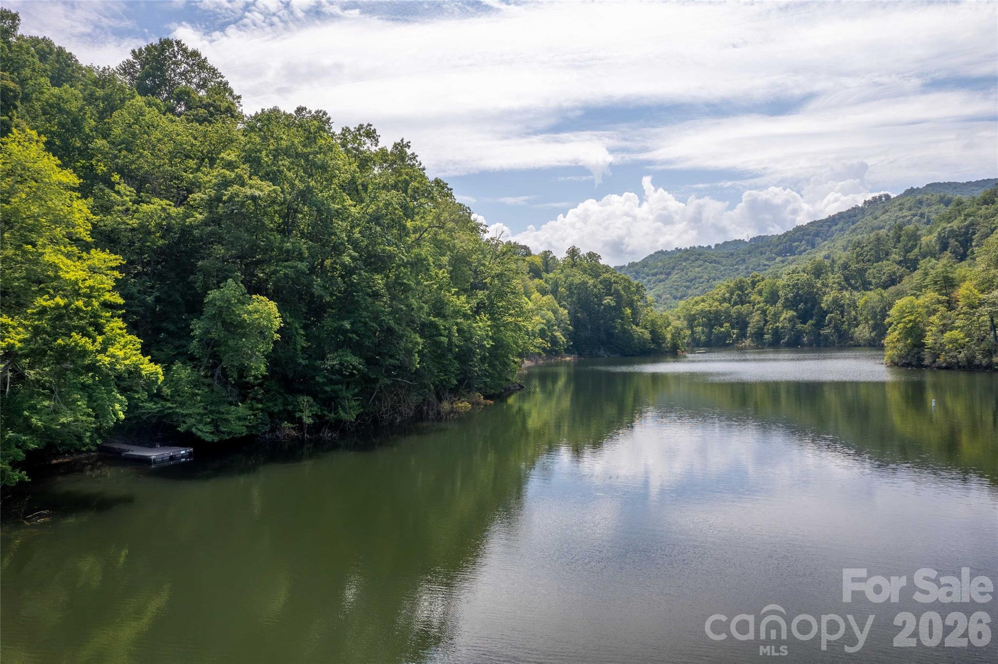 300 Sweet Birch Lane — Tuckasegee