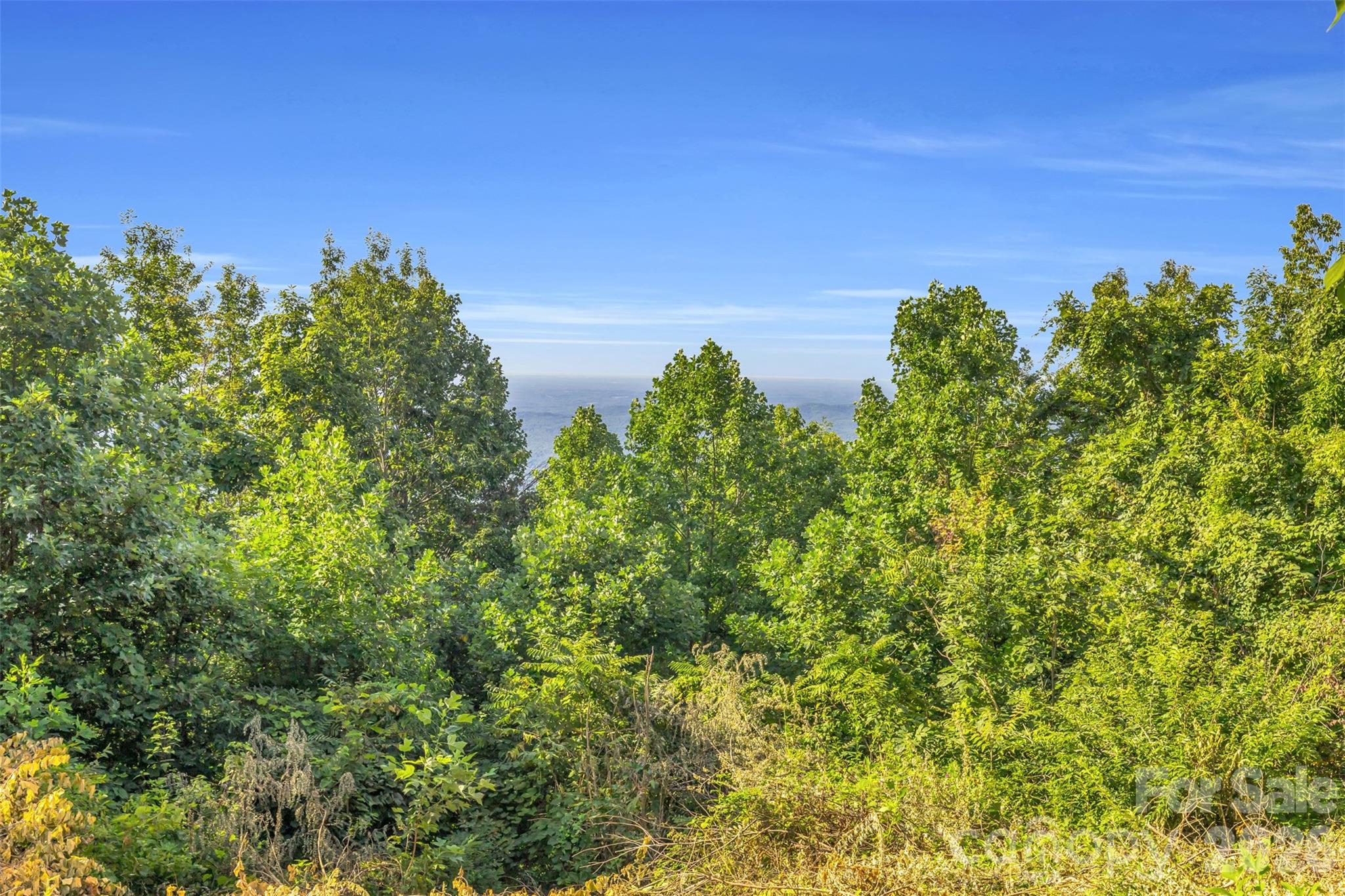 3605 Skyuka Mountain Road — Columbus