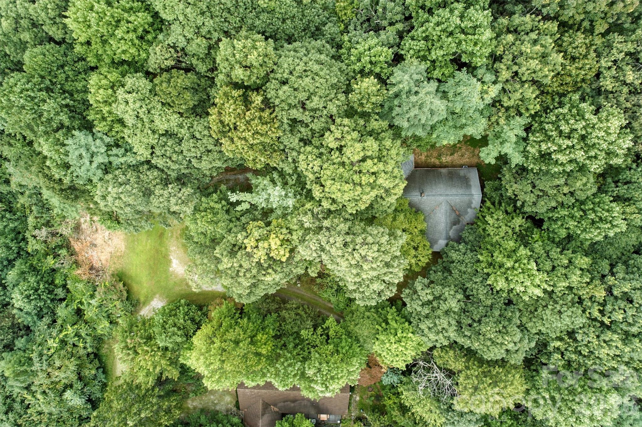 3605 Skyuka Mountain Road — Columbus