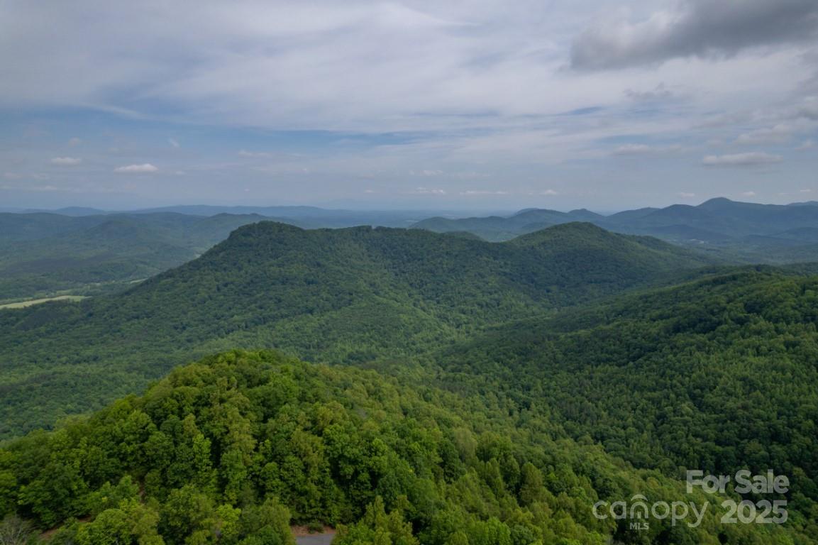 186 Black Ridge Drive — Bostic