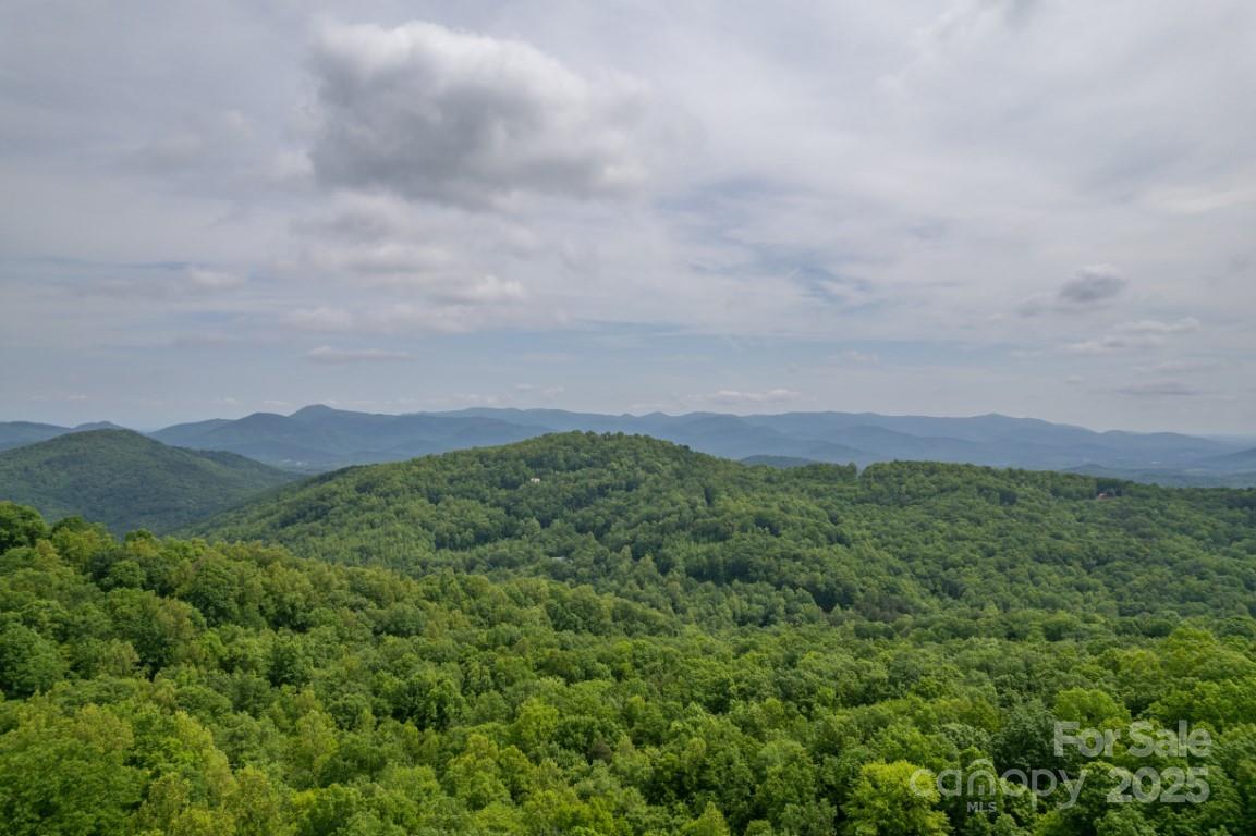 186 Black Ridge Drive — Bostic
