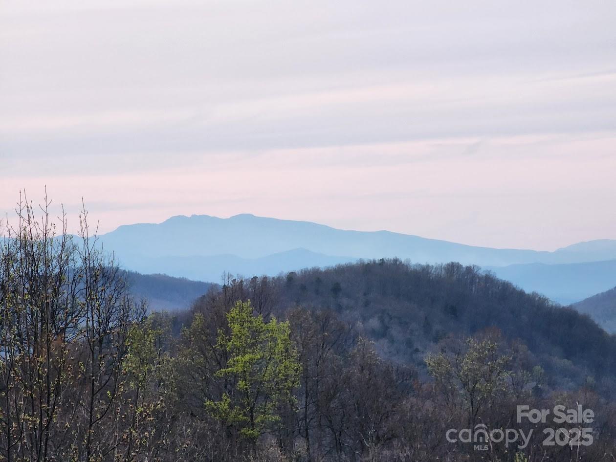 186 Black Ridge Drive — Bostic