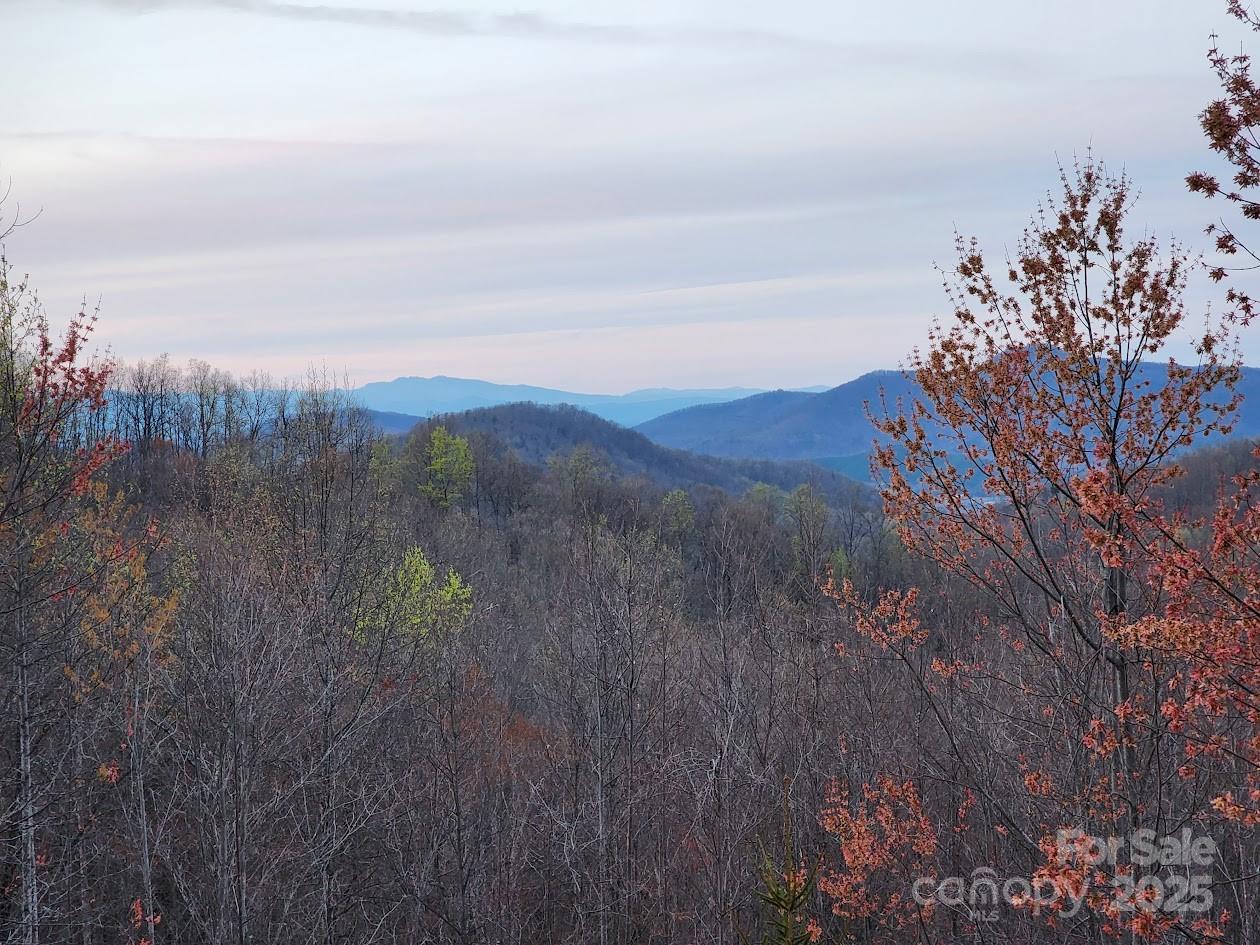 186 Black Ridge Drive — Bostic