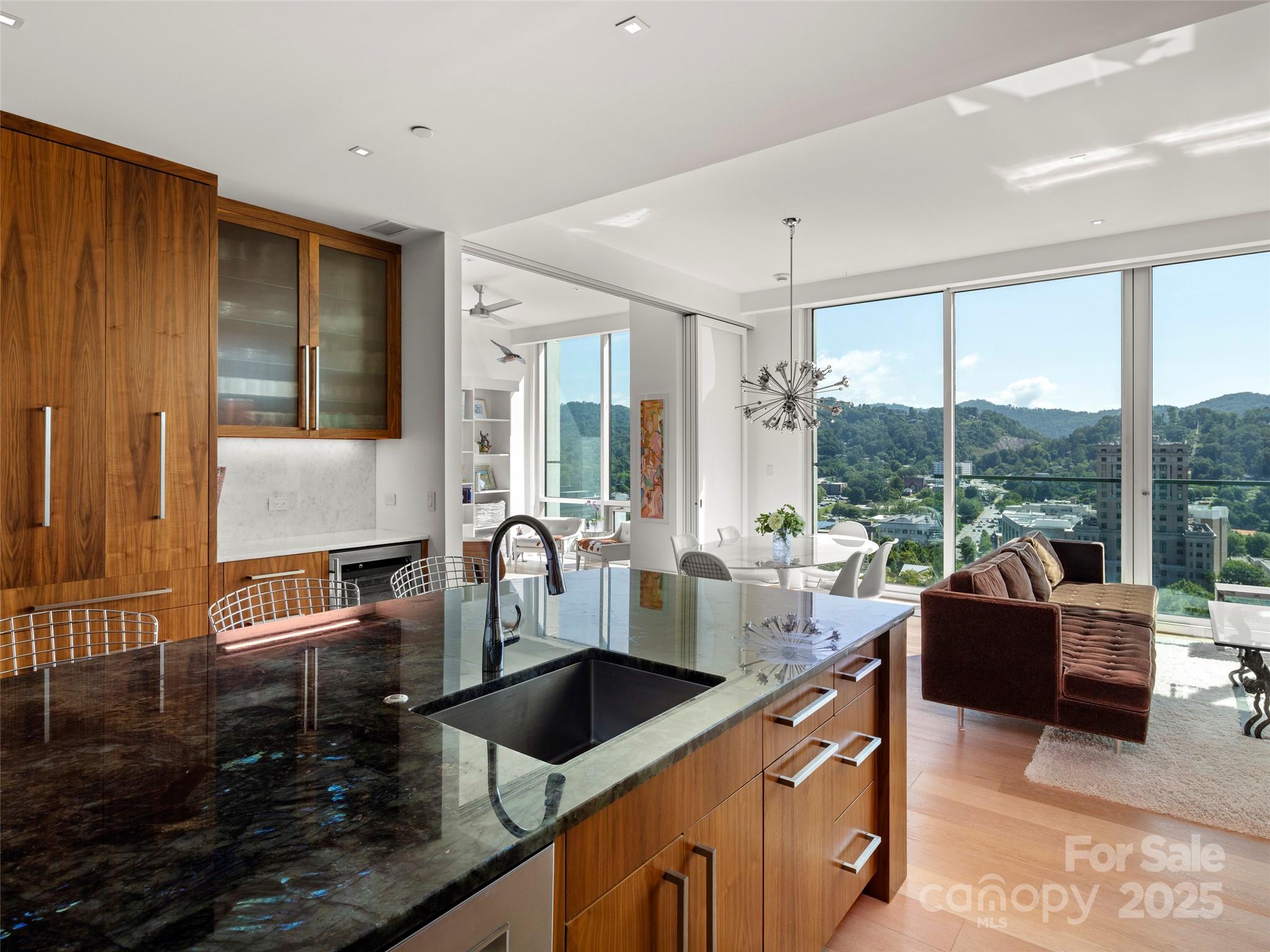 7 Patton Avenue #1503 — Asheville
