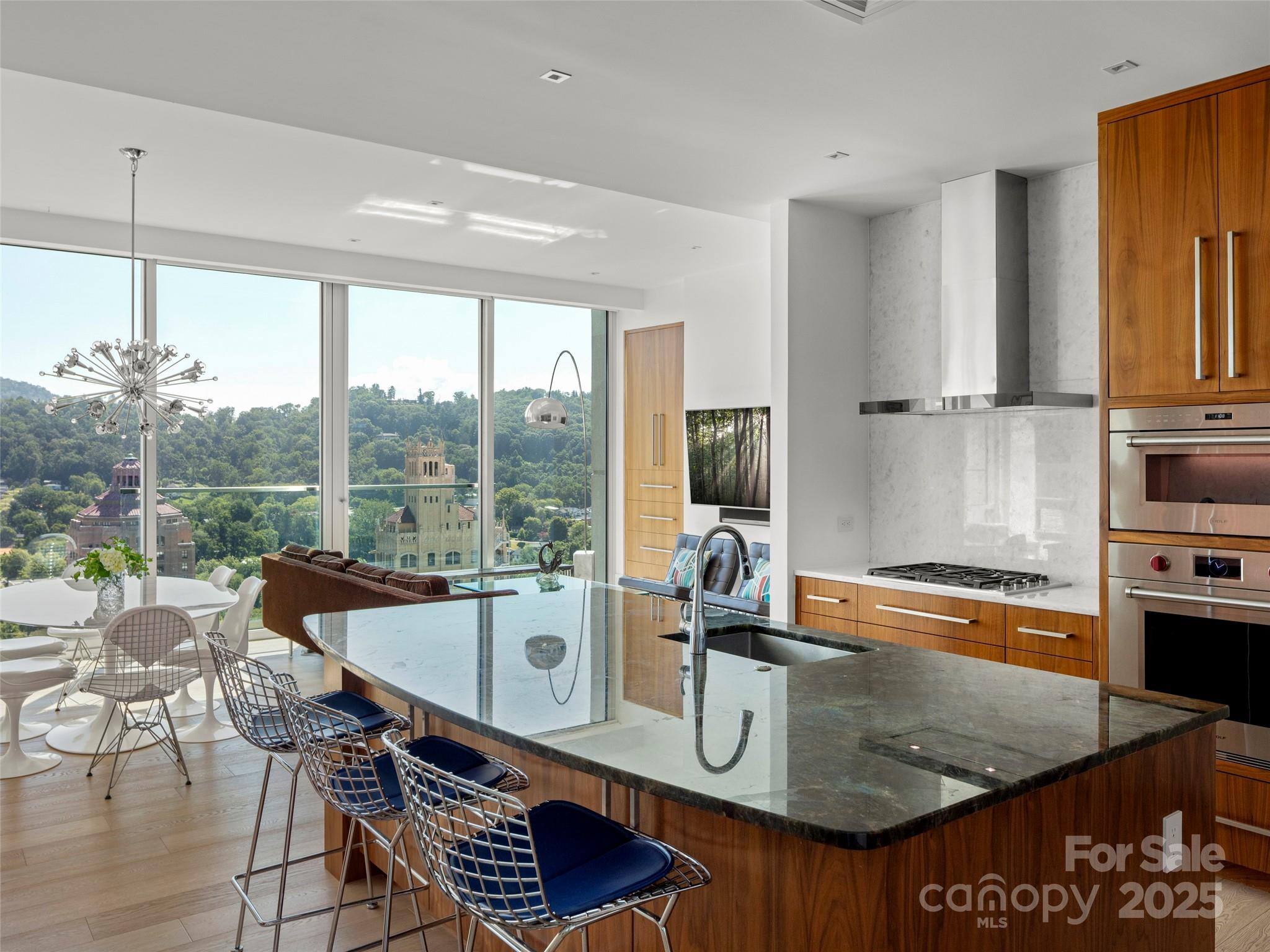 7 Patton Avenue #1503 — Asheville