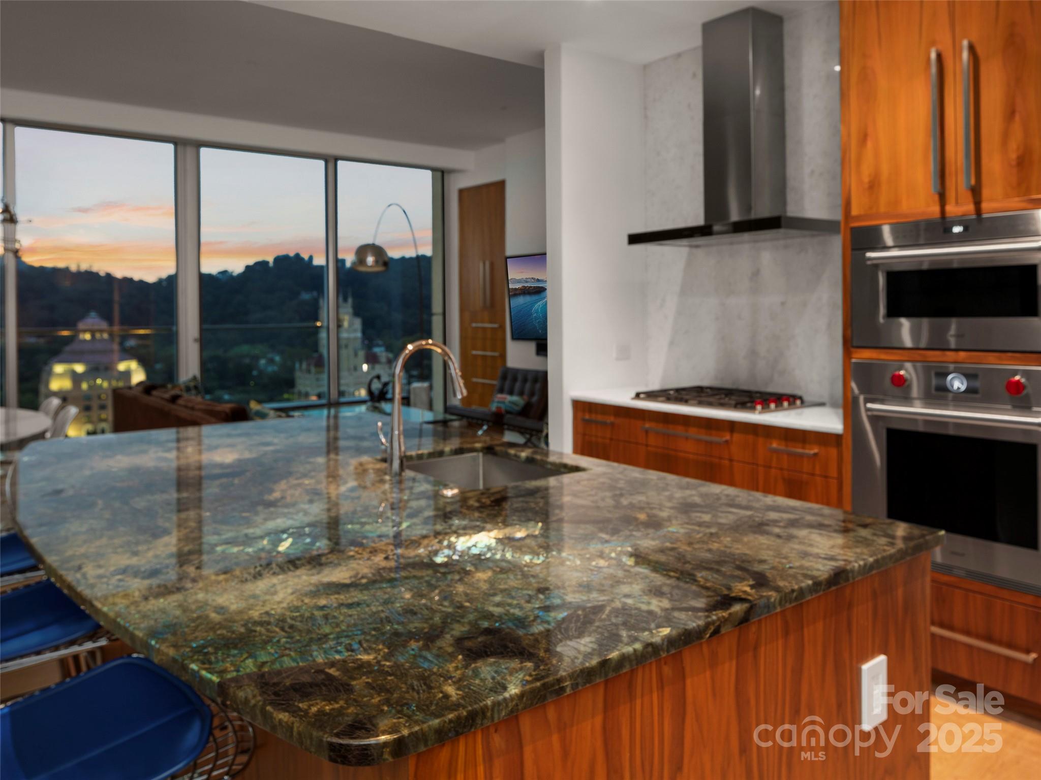 7 Patton Avenue #1503 — Asheville