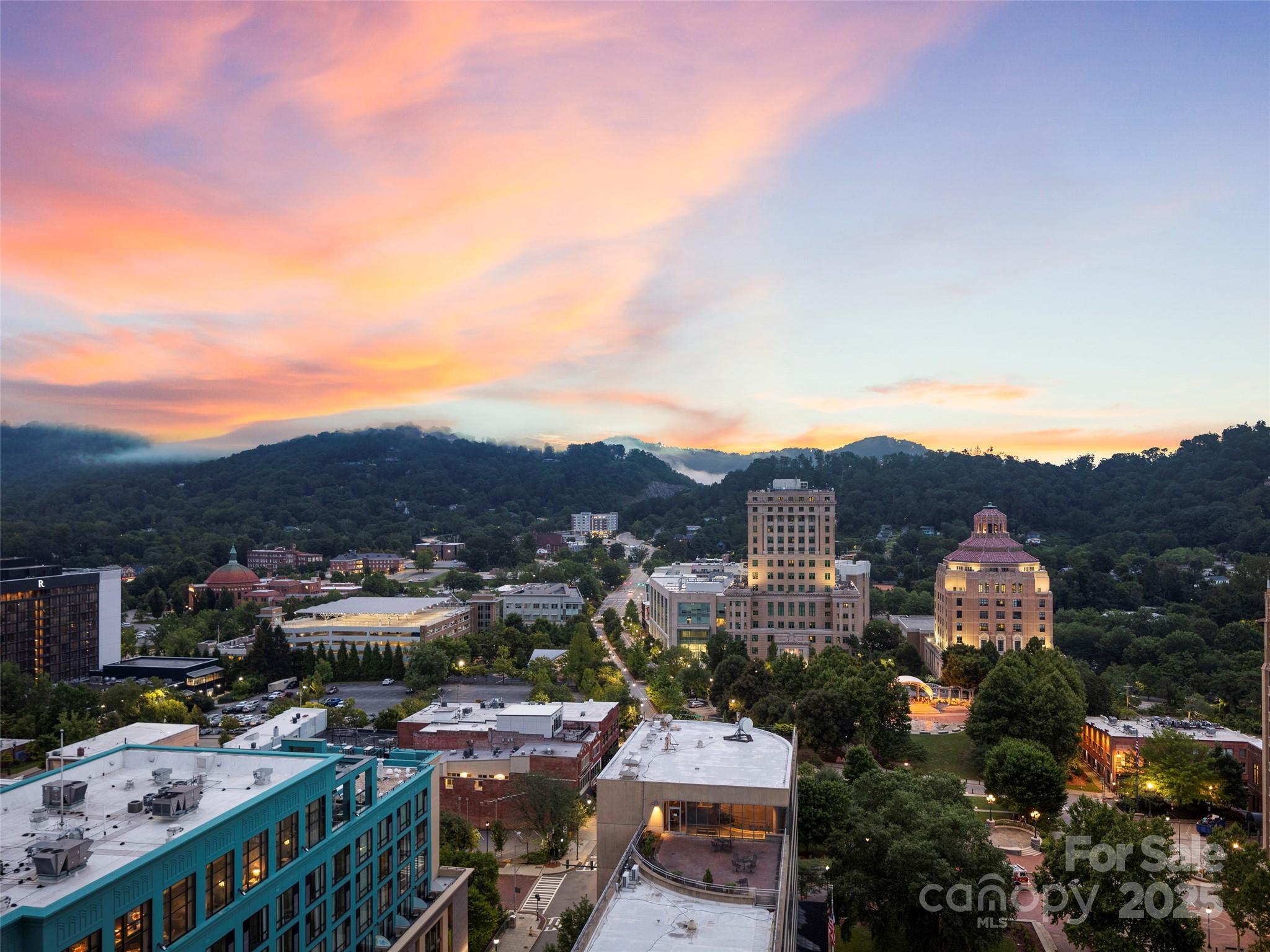 7 Patton Avenue #1503 — Asheville
