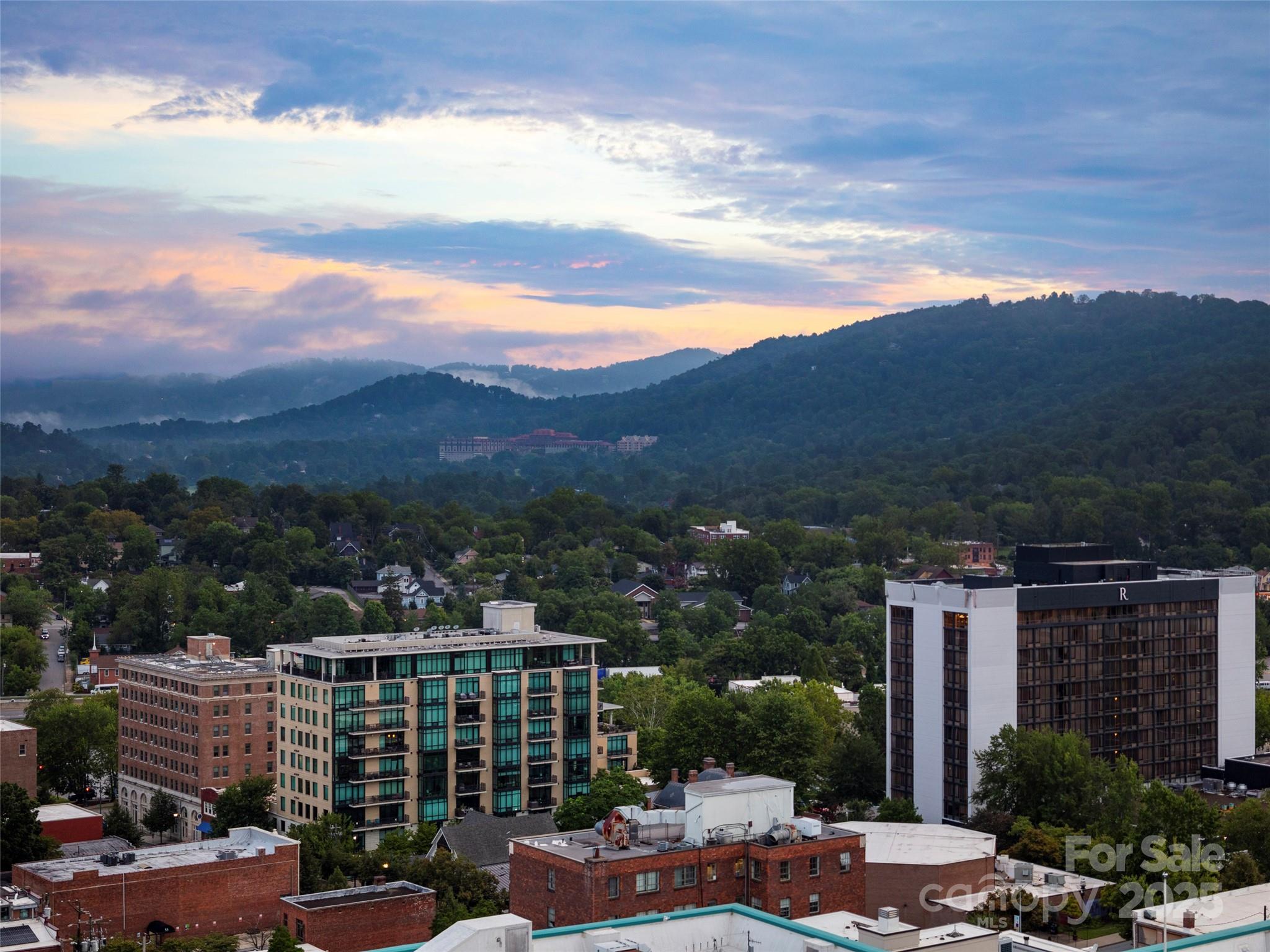 7 Patton Avenue #1503 — Asheville