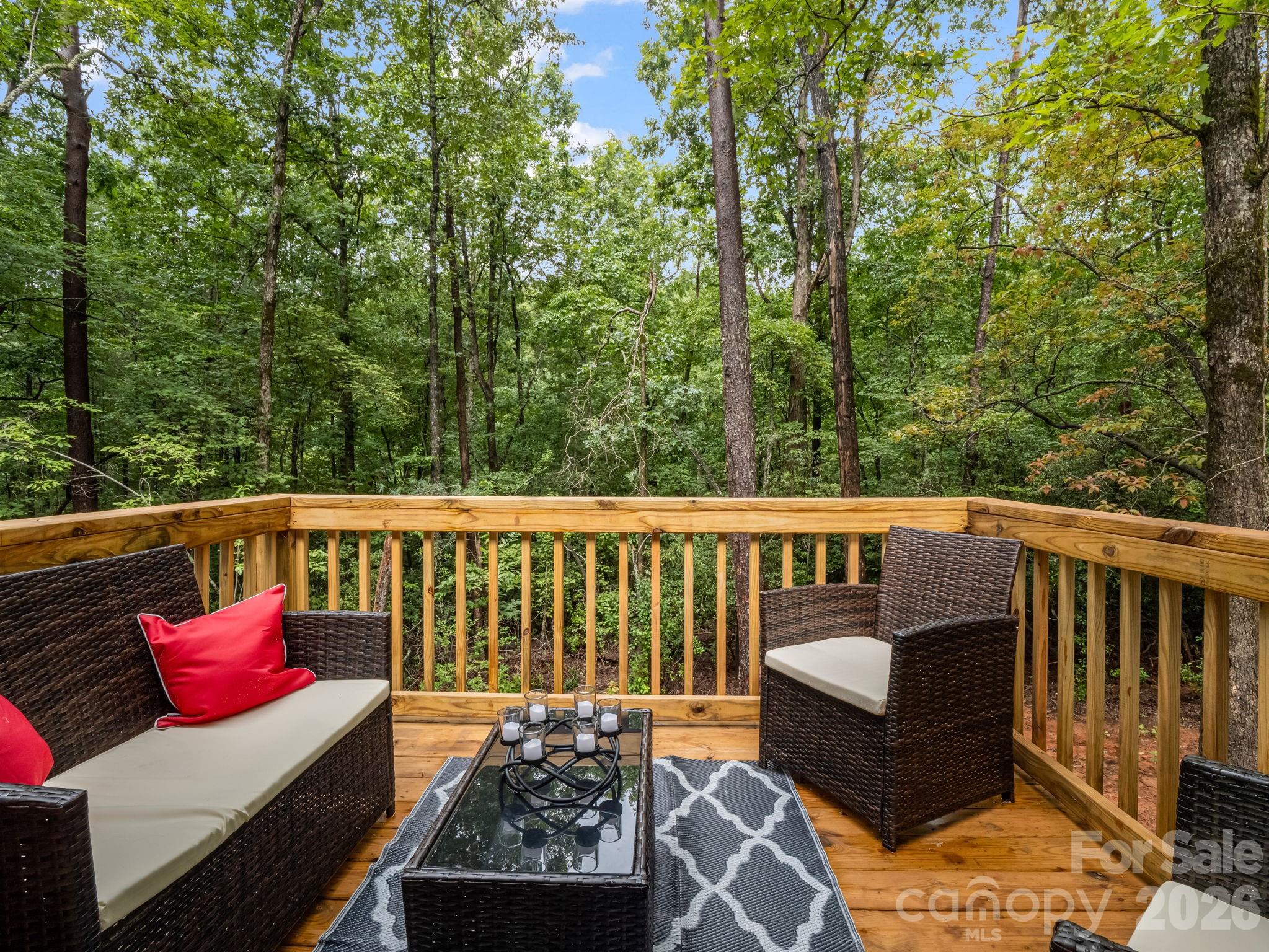 257 Roadrunner Circle — Lake Lure