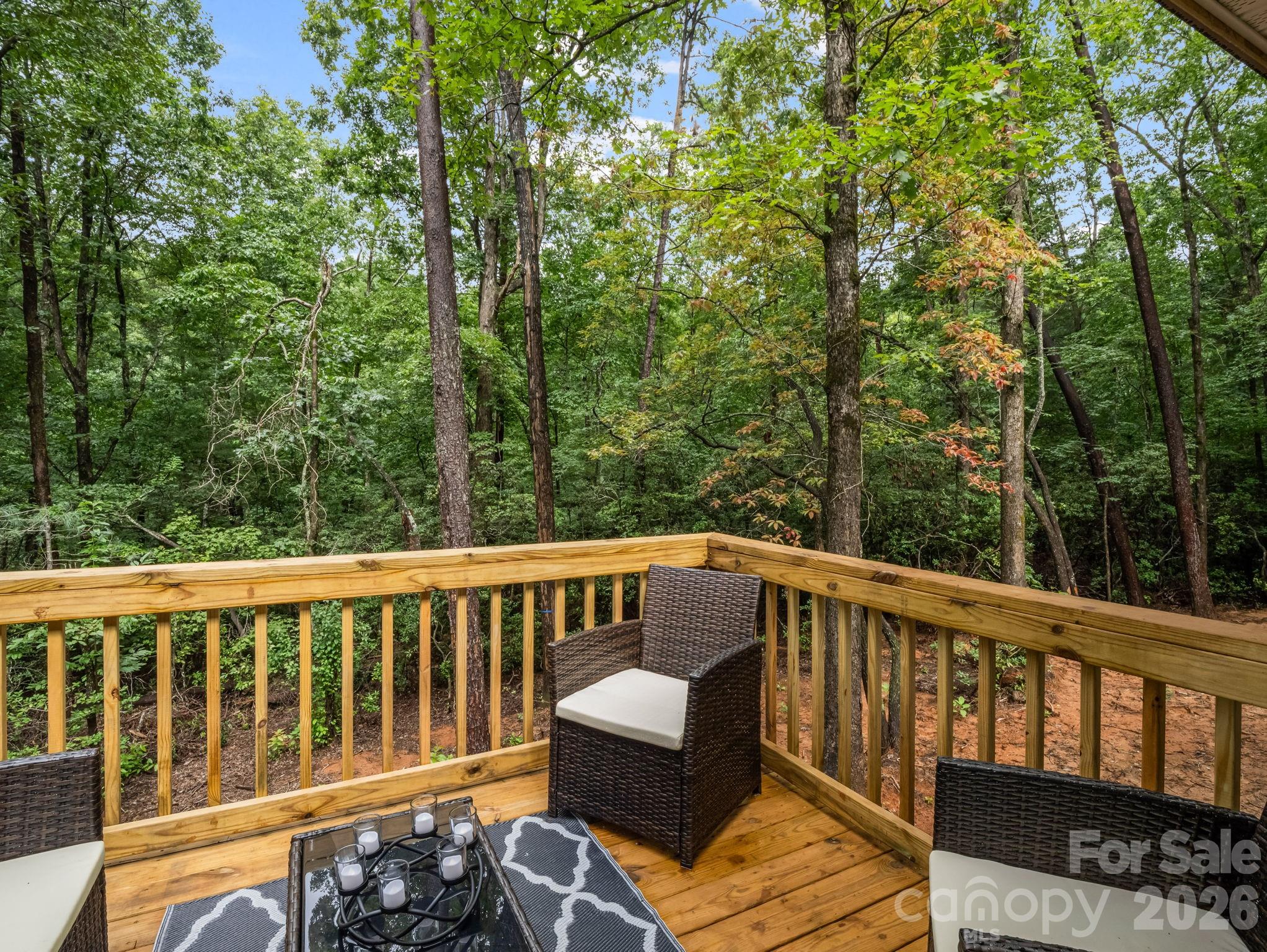 257 Roadrunner Circle — Lake Lure