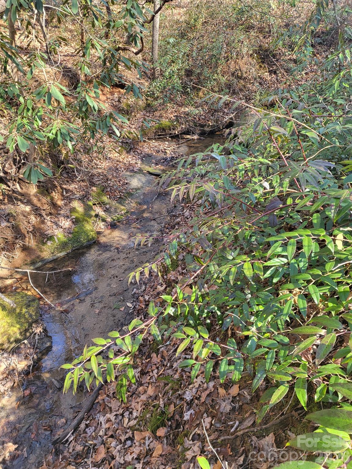 257 Roadrunner Circle — Lake Lure