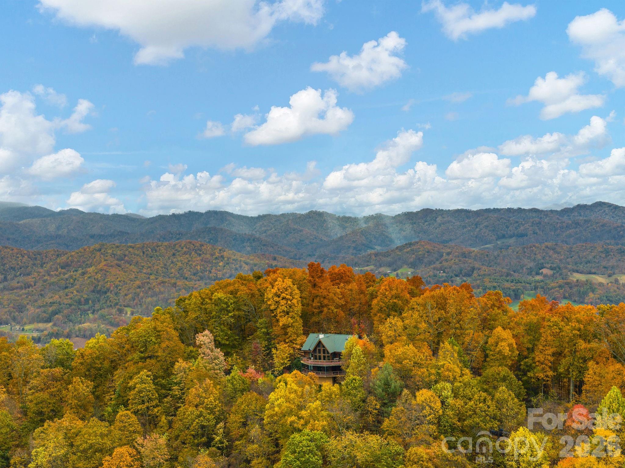 1036 Forces Of Nature Trail — Mars Hill