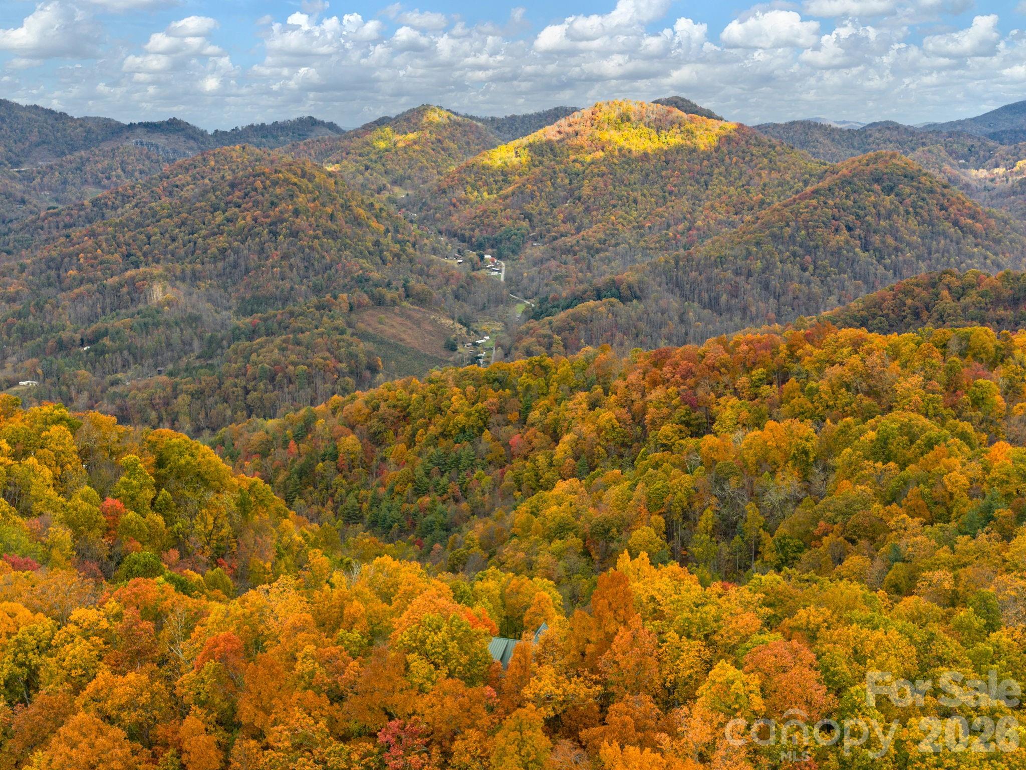 1036 Forces Of Nature Trail — Mars Hill