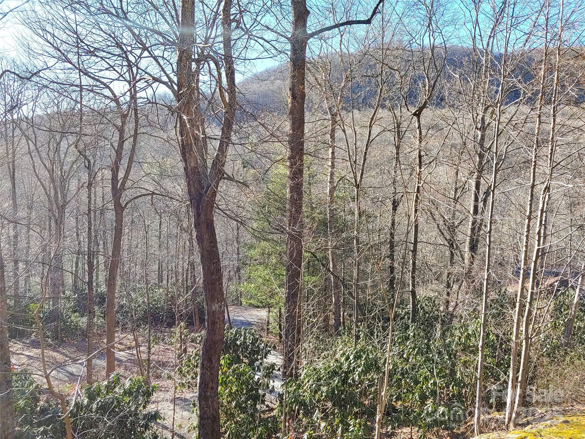 48 Buck Ridge Road — Fairview
