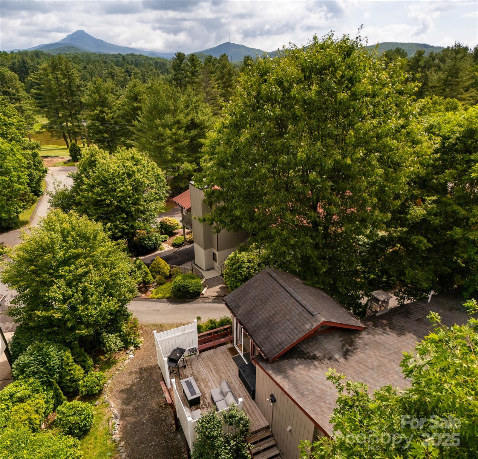 335 Snowshoe Loop — Newland