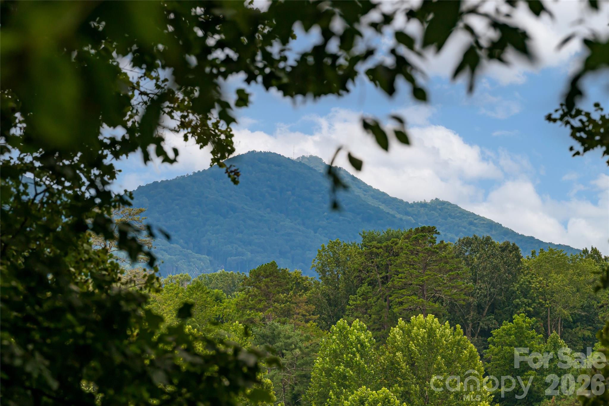 7 Bee Balm Way — Asheville