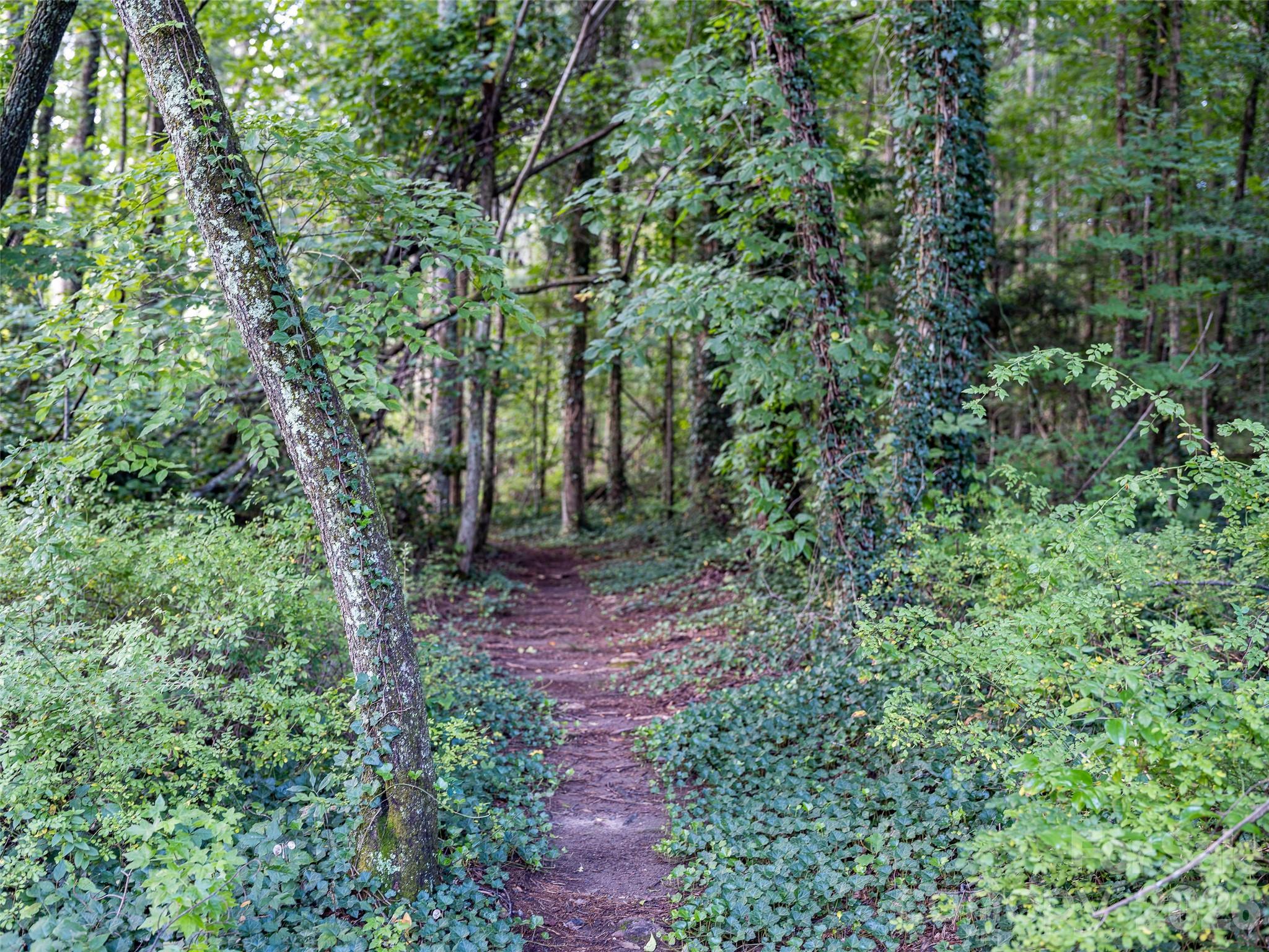 102 Boyd Drive #5C — Flat Rock