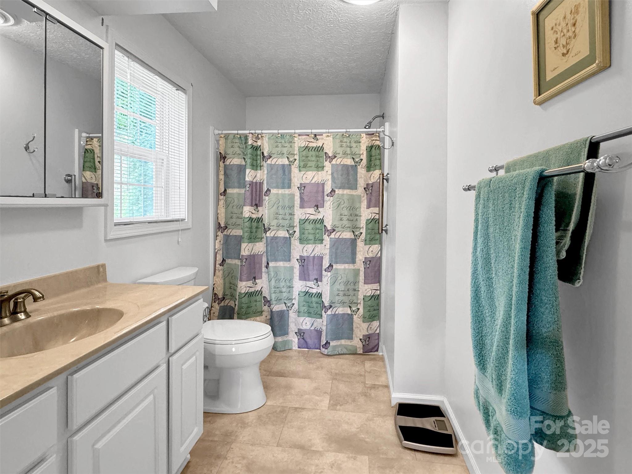 562 Beechwood Drive — Sylva