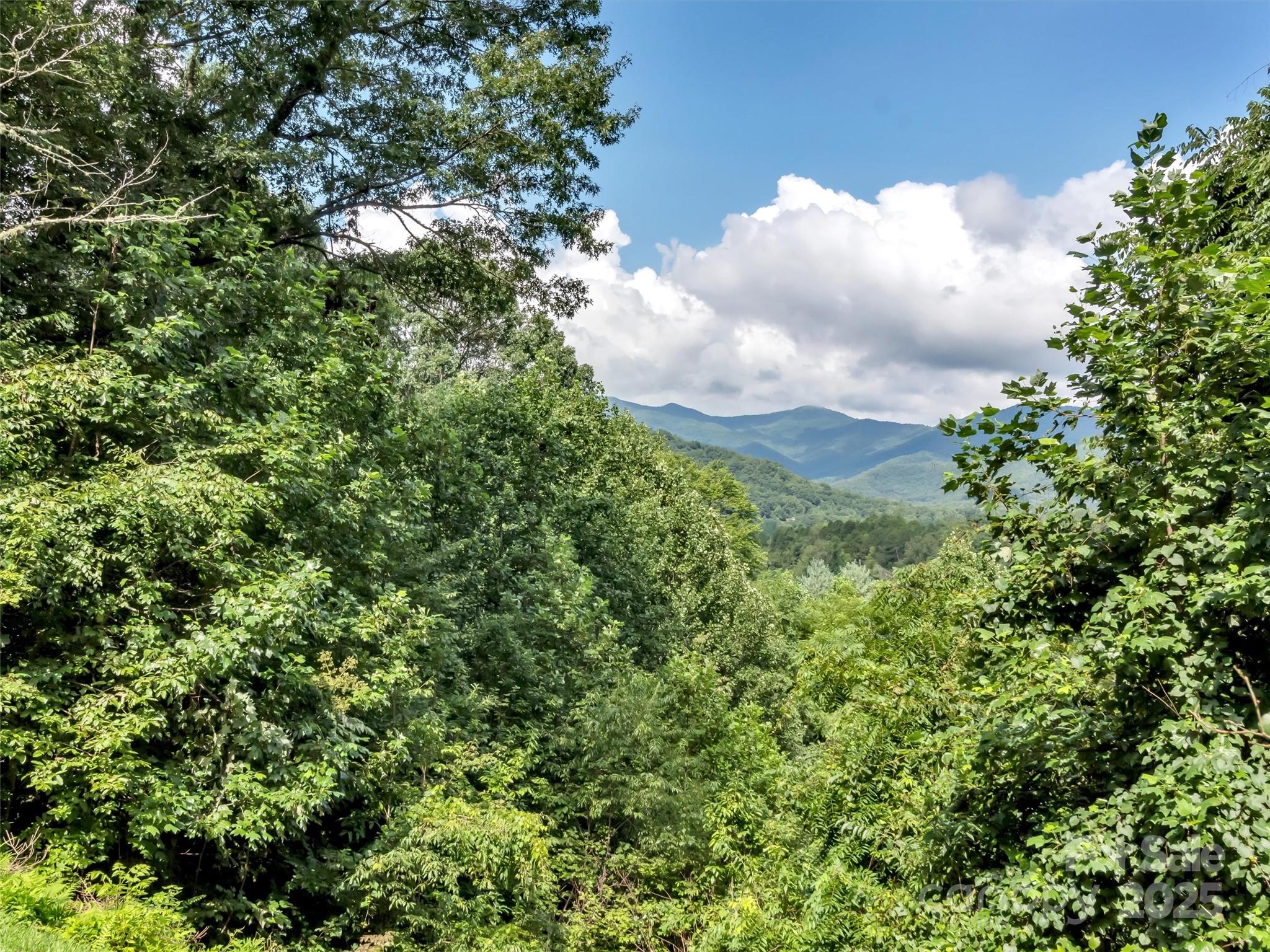 562 Beechwood Drive — Sylva