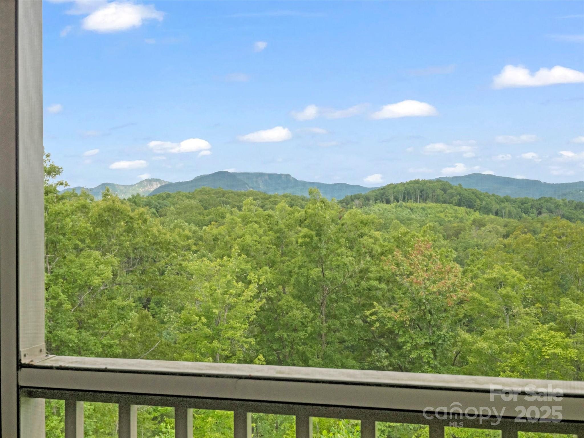 148 Red Hawk Knoll #12 — Lake Lure