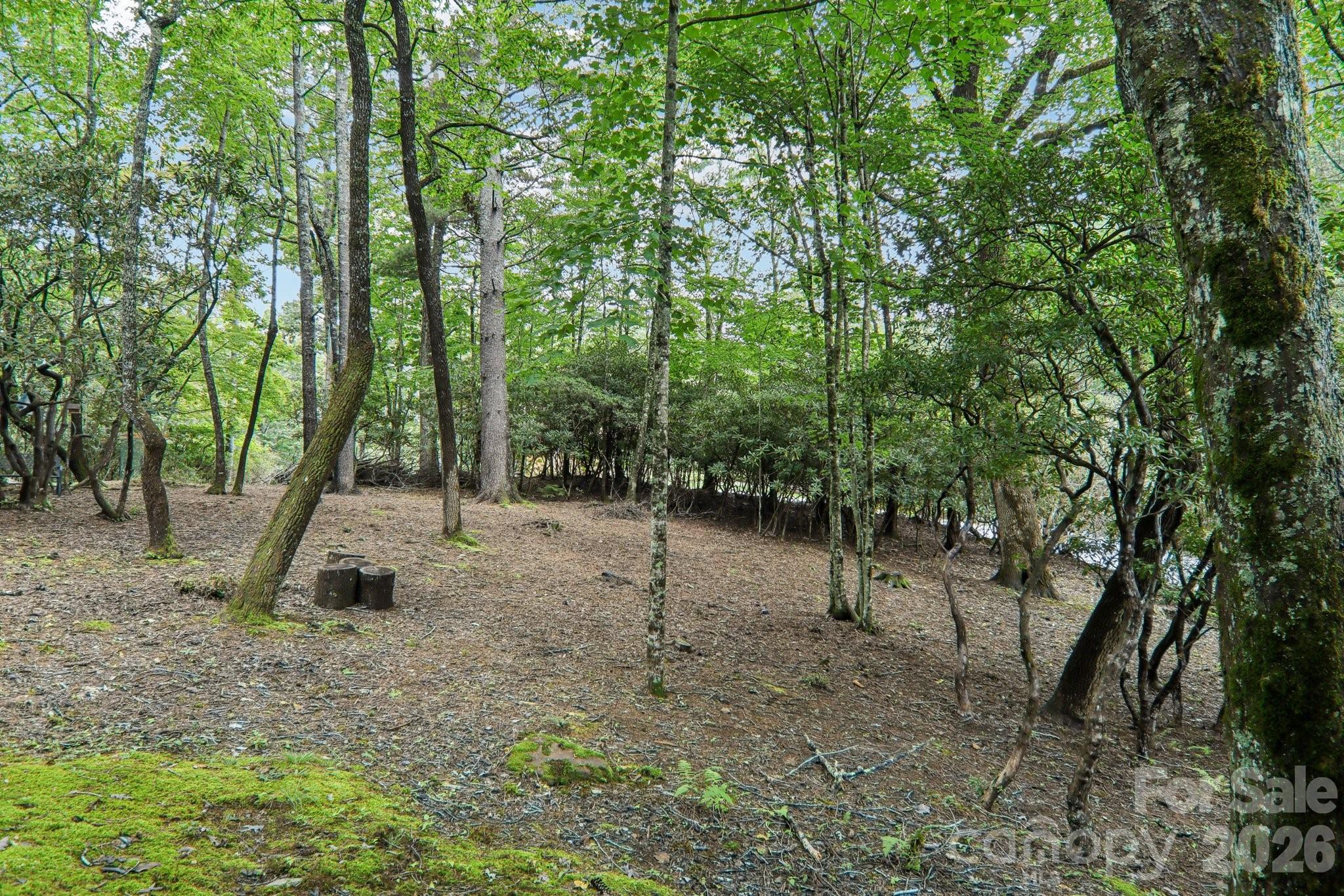 19 High Terrain Drive — Burnsville