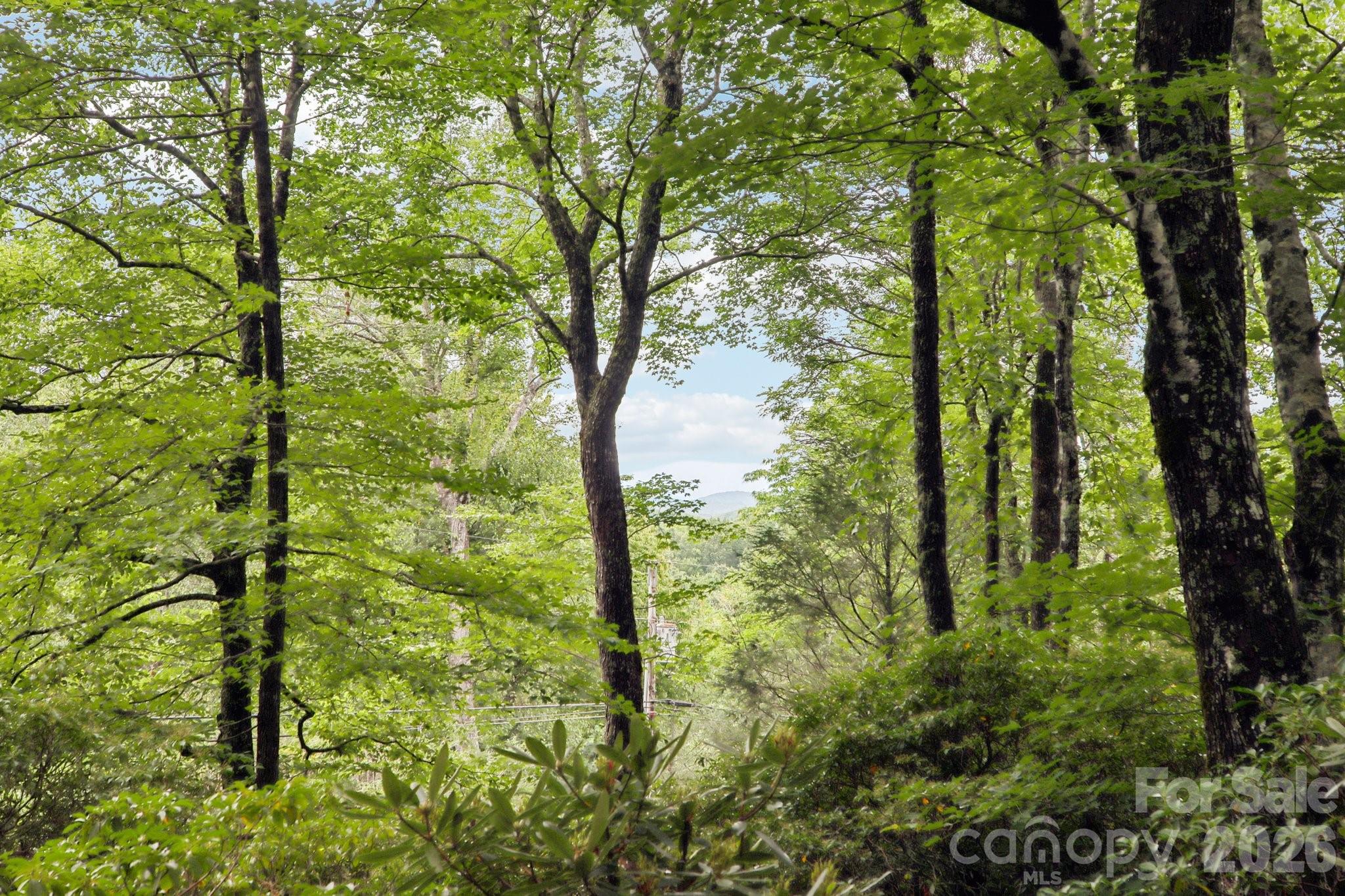 19 High Terrain Drive — Burnsville