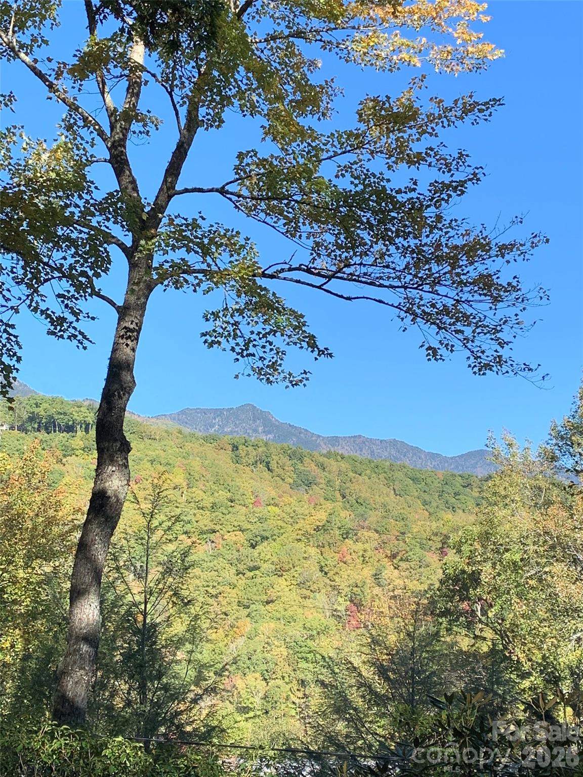 19 High Terrain Drive — Burnsville