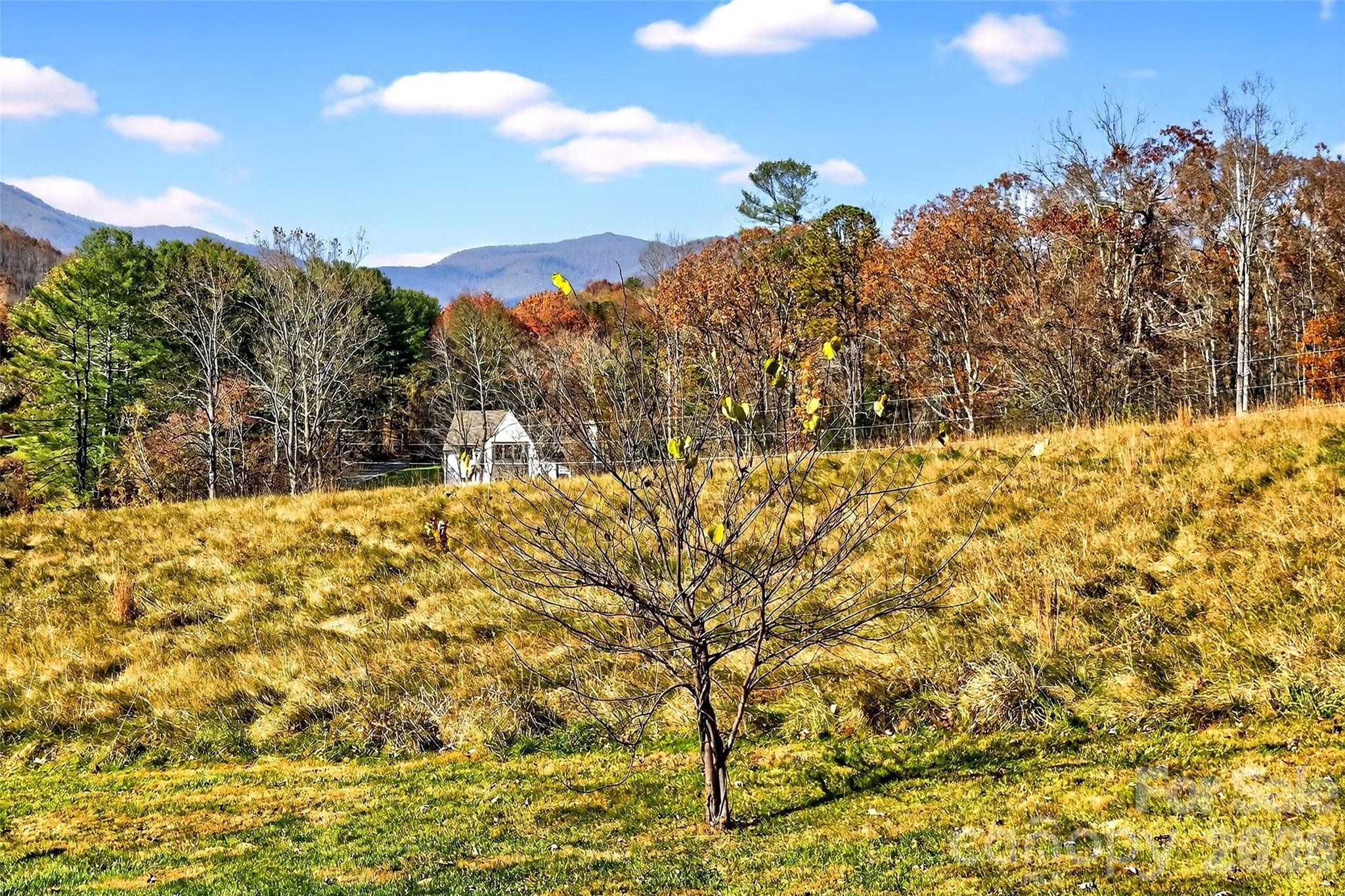 3B Lynx Drive — Black Mountain